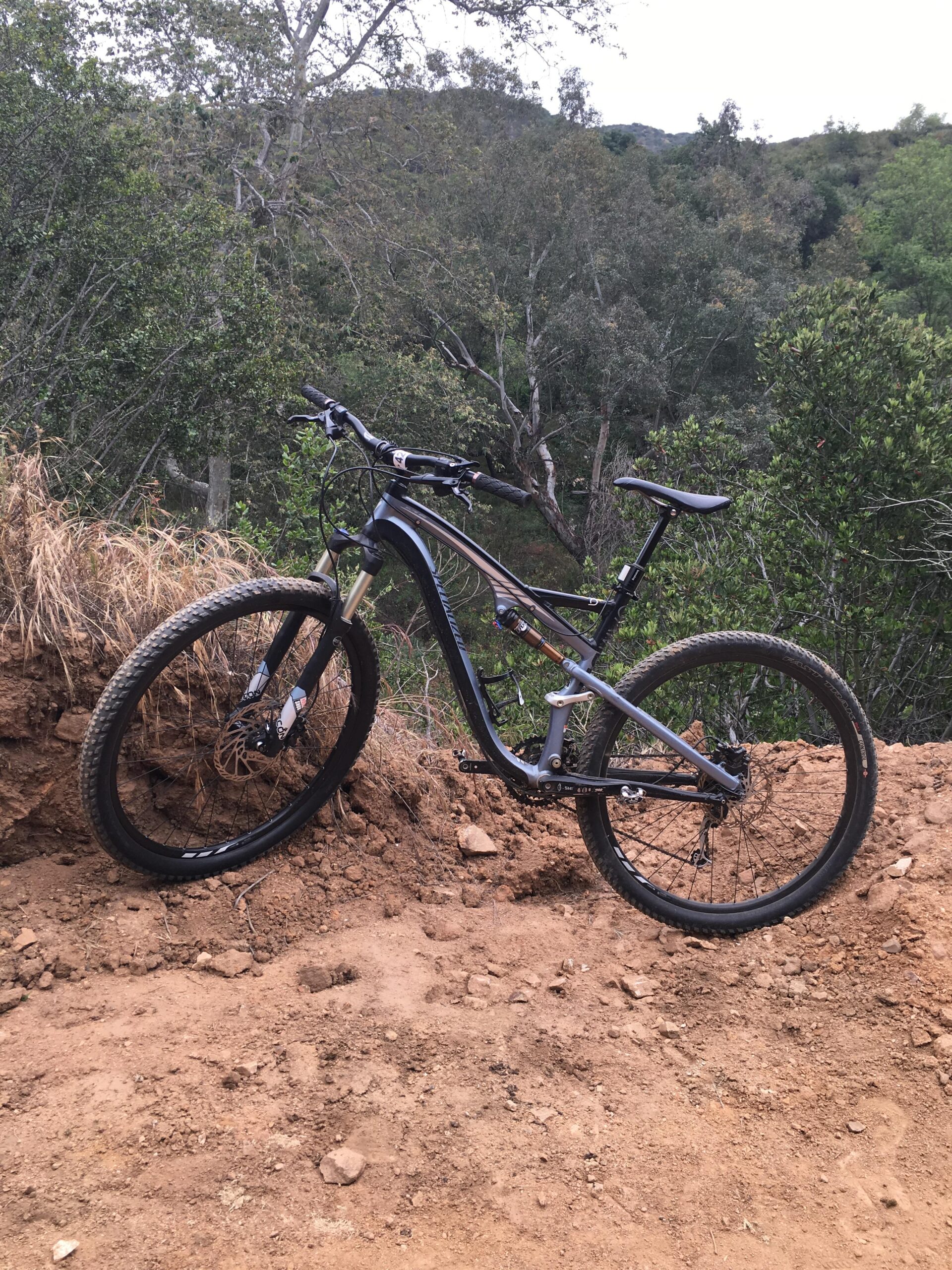 Specialized Camber Comp 29: A mountain bike leaning against a dirt mound, surrounded by greenery and trees in a natural setting.