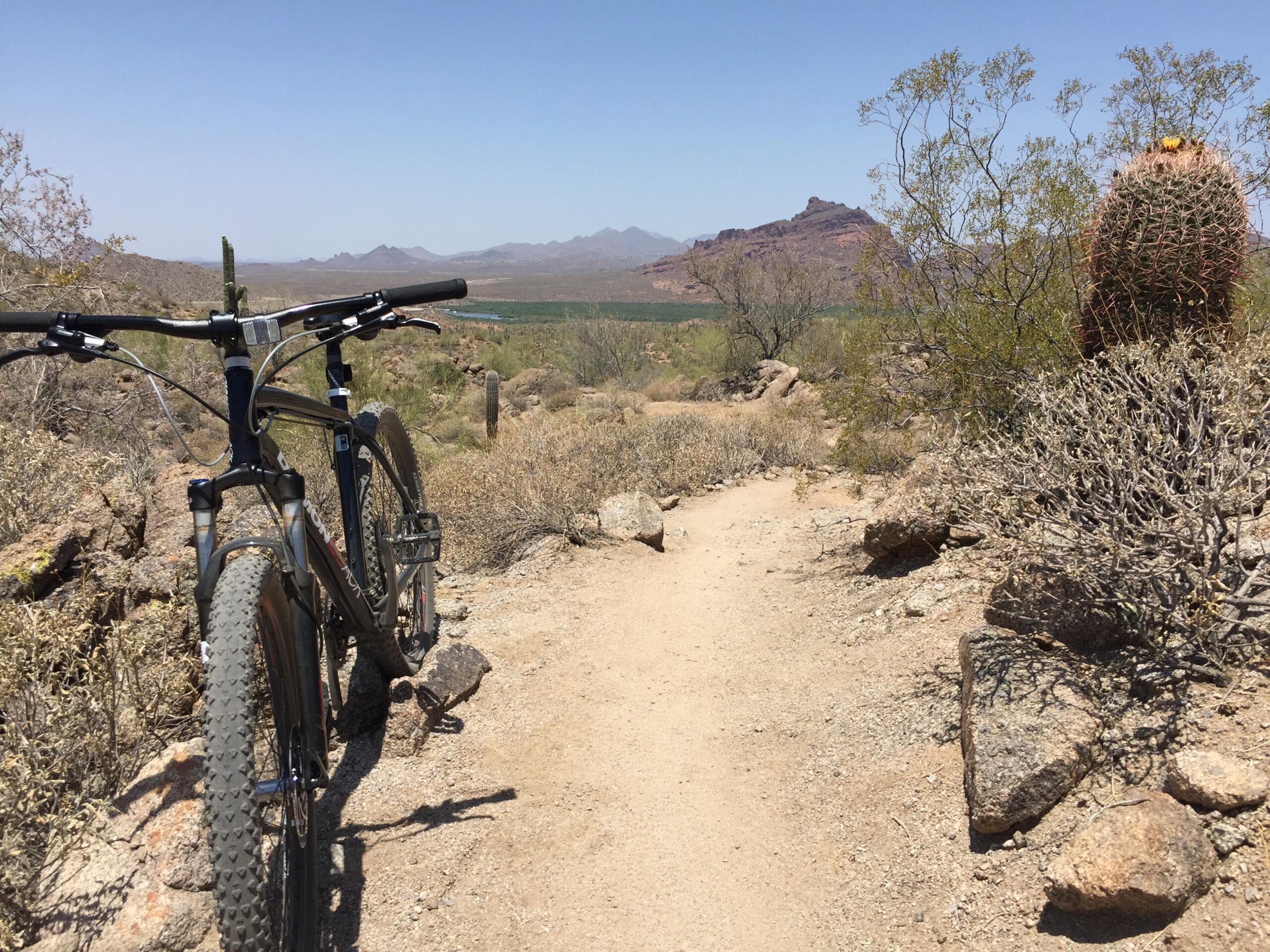 Diamondback Overdrive Sport: A mountain bike positioned on a dirt trail surrounded by desert landscape, featuring rocky terrain, sparse vegetation, and a prominent cactus. In the background, distant mountains can be seen under a clear blue sky.