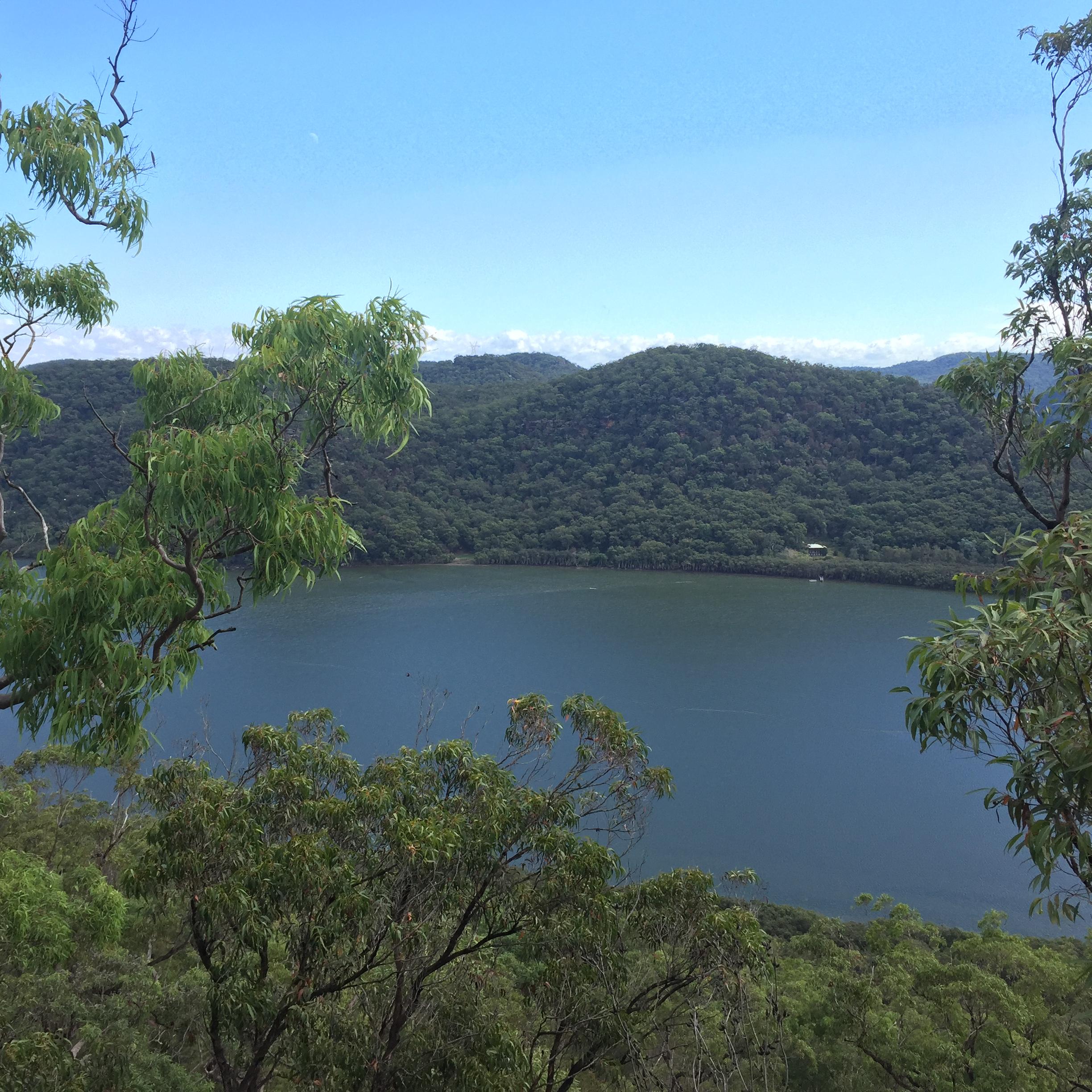 A scenic view of a tranquil body of water surrounded by lush green hills and trees under a clear blue sky. The foreground features leafy branches framing the image, while the background showcases rolling hills covered in dense vegetation. Popran National Park mountain bike trail.