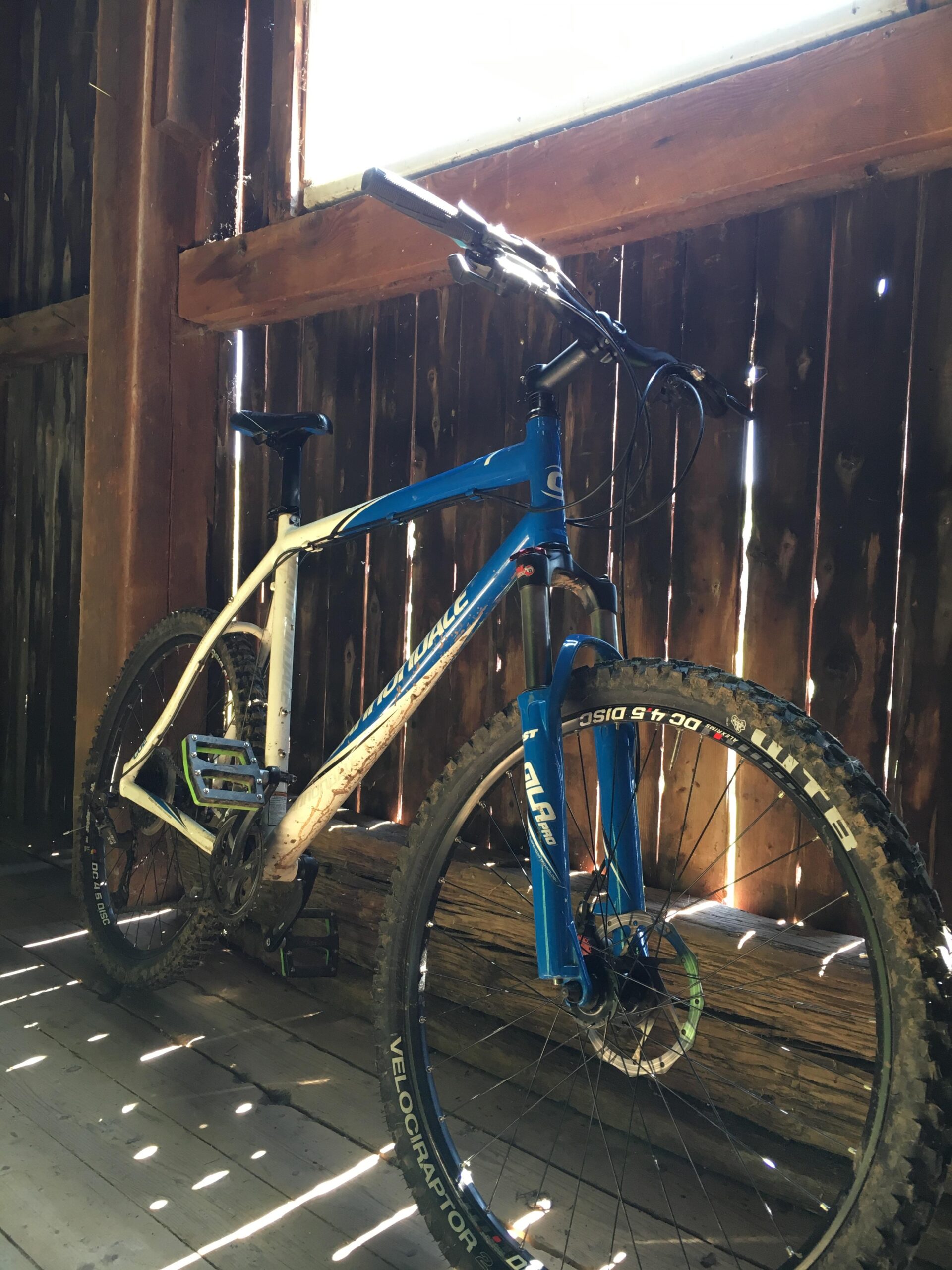 Alt text: A blue and white mountain bike resting against a wooden wall with sunlight streaming through gaps in the planks. The bike has visible dirt on the frame and tires, suggesting recent use.