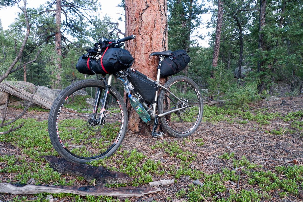 Motobecane Fly Team 29er Ti X0 Edition: A mountain bike with black panniers and a water bottle is parked next to a tree in a forested area. The ground is covered with pine needles and rocks, surrounded by tall green trees.