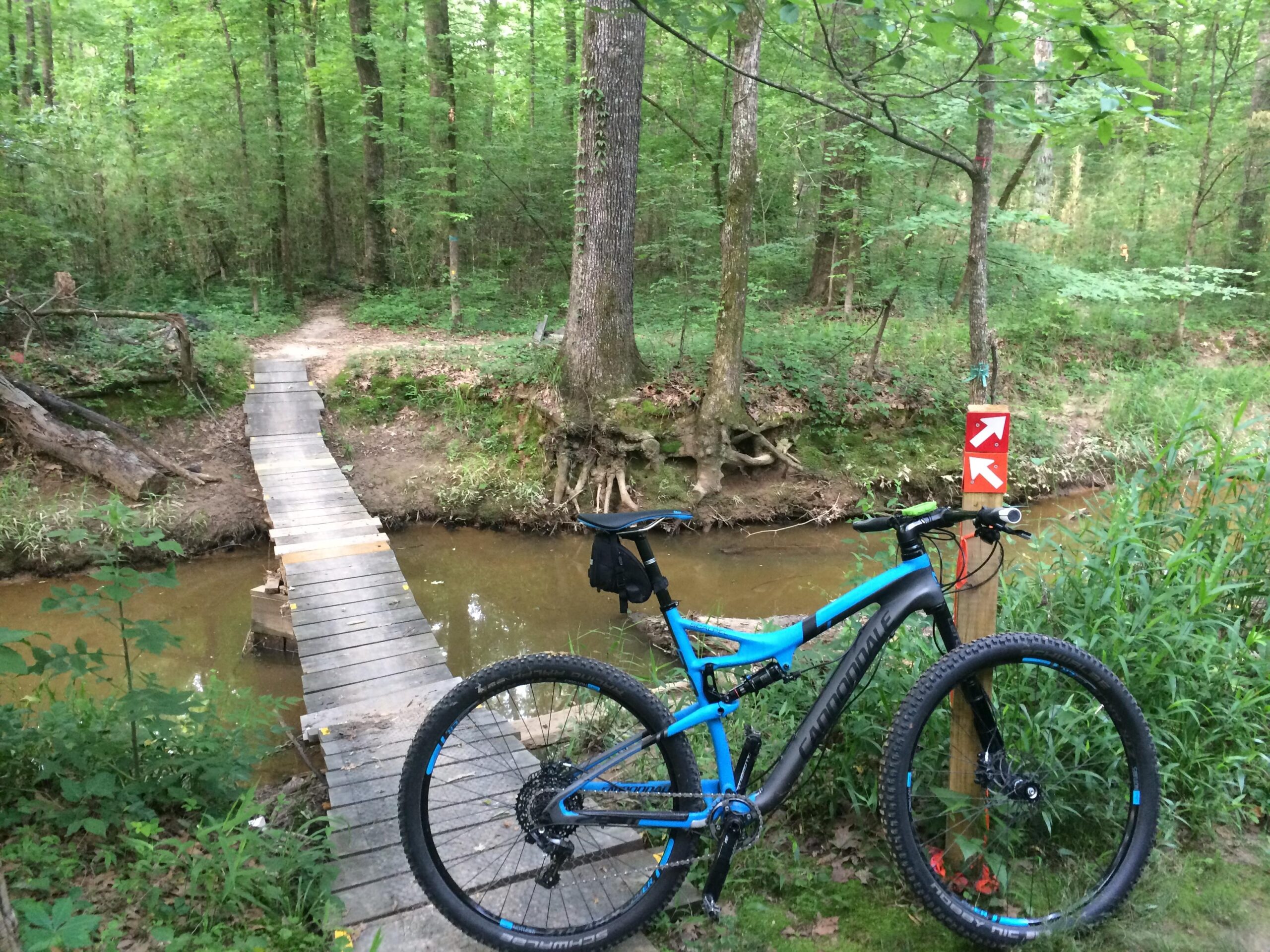 A mountain bike is parked beside a wooden bridge over a small creek in a lush green forest. The path leads into the dense woods, and a directional sign with arrows is visible next to the bike. Lakeshore MTB Singletrack mountain bike trail.
