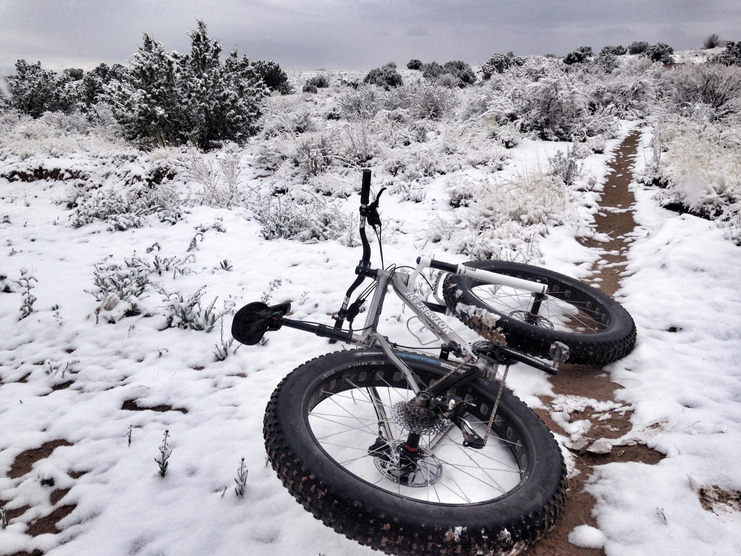 A fat bike lying on snow-covered ground beside a narrow dirt path, surrounded by snowy shrubs and plants under a cloudy sky. Mariposa Fat Bike Trails mountain bike trail.
