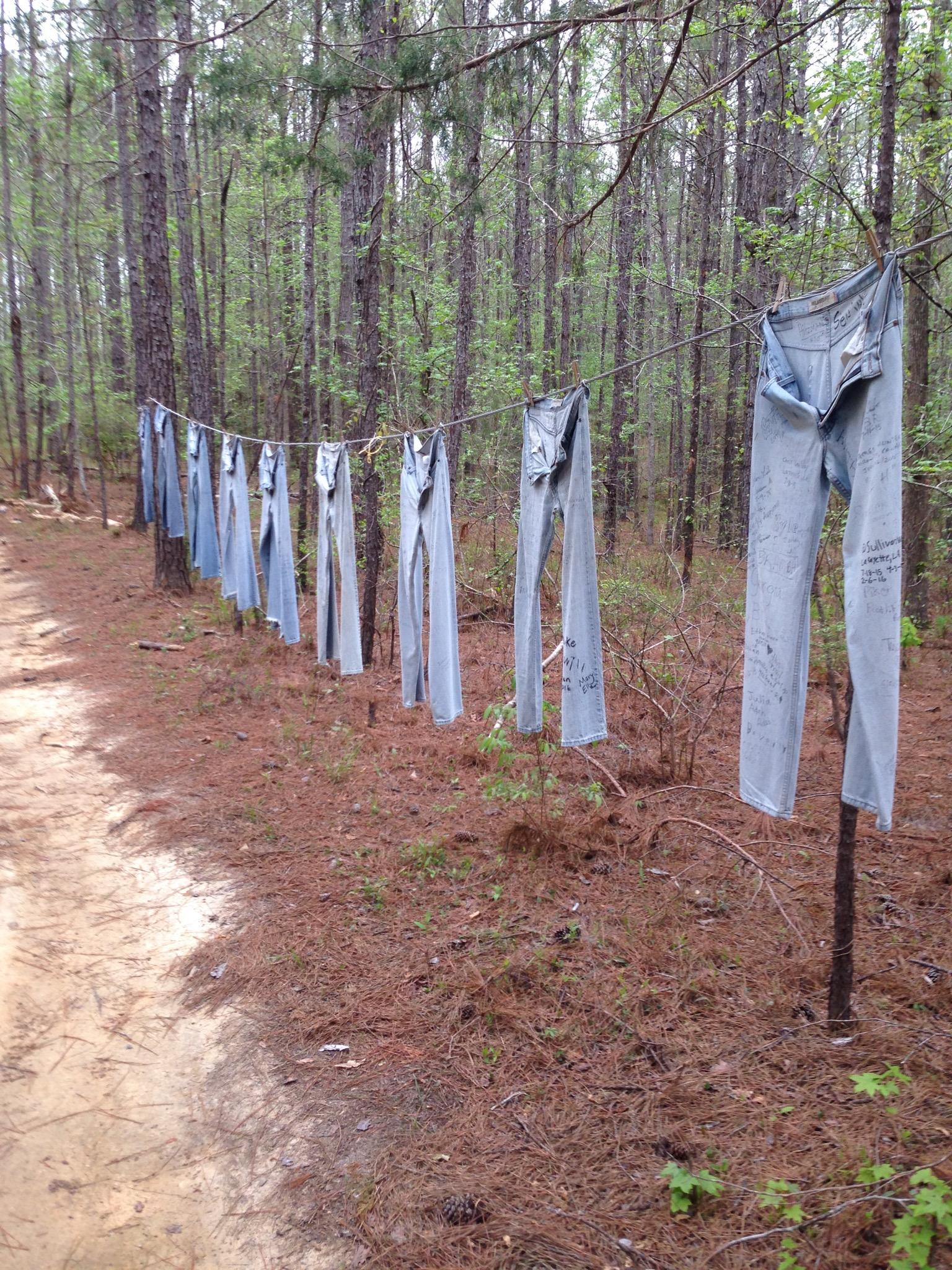 A row of blue jeans hanging on a clothesline in a forested area, surrounded by pine needles and trees. The path beside them is unpaved, suggesting a natural, rustic setting. Mt. Zion Bike Trails mountain bike trail.