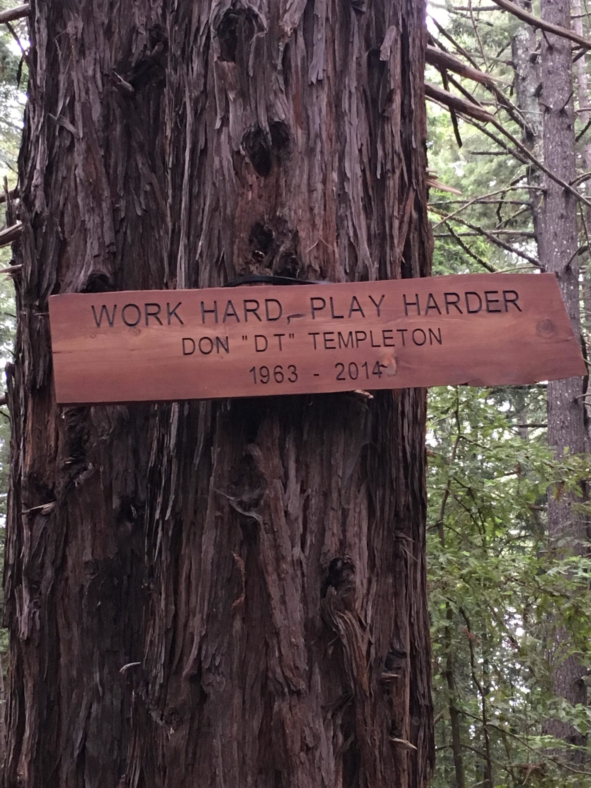 A wooden plaque mounted on a tree, inscribed with the words "WORK HARD, PLAY HARDER" followed by the name "DON 'DT' TEMPLETON" and the years "1963 - 2014." The background features a forest with tall trees and greenery. Forest Of Nisene Marks and Soquel Demonstration Forest mountain bike trail.