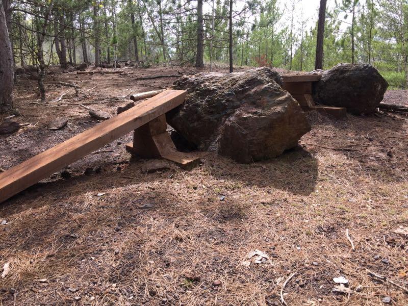 A wooden balance beam positioned between two large rocks in a forested area, surrounded by pine needles and trees. The scene has natural lighting and a calm, serene atmosphere, suggesting an outdoor recreational space. Cuyuna Lakes mountain bike trail.