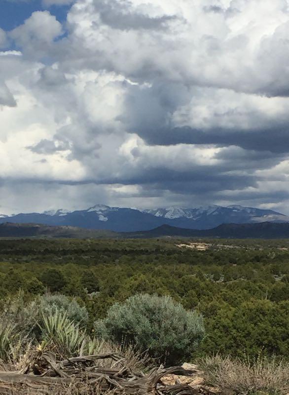 A panoramic view of a mountainous landscape under a cloudy sky. In the foreground, a diverse range of green vegetation, including shrubs, is visible. The distant mountains are partially covered with snow, and the clouds create a dramatic atmosphere. Phil's World mountain bike trail.