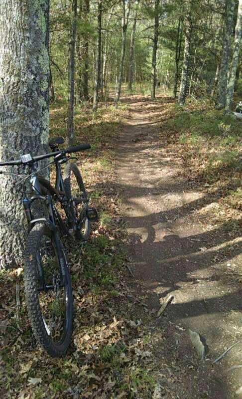 Mountain bike leaned against a tree on a dirt trail winding through a forest, with sunlight filtering through the leaves and fallen foliage scattered along the path. Adams Farm mountain bike trail.
