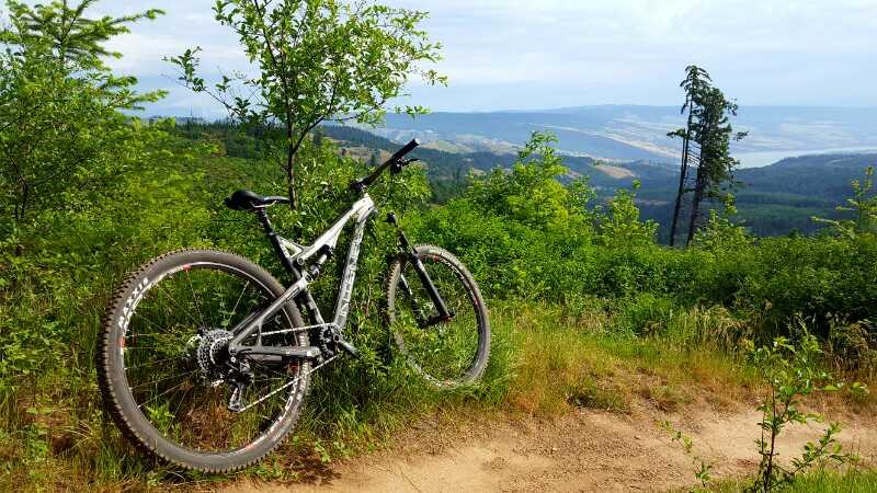 A mountain bike leaning against a small tree on a grassy hillside, surrounded by lush greenery, with a scenic view of rolling hills and valleys in the background under a partly cloudy sky. Whoopdee mountain bike trail.