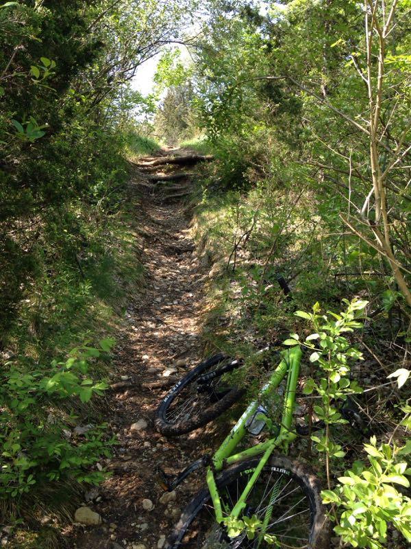 A narrow, rocky trail winding through a lush green forest, with a fallen green bicycle resting on the ground to the left. Sunlight filters through the trees, illuminating the path ahead. Raceway Woods mountain bike trail.