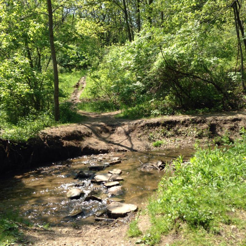 A serene forest scene featuring a small, shallow creek with smooth rocks visible above the water's surface. Lush green vegetation surrounds the creek, and a narrow dirt path can be seen leading into the woods, indicating a scenic trail. Sunlight filters through the trees, creating a peaceful atmosphere. Raceway Woods mountain bike trail.
