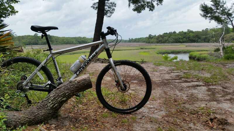 A silver mountain bike leaning against a tree, set against a peaceful natural landscape featuring a grassy area and a small body of water in the background. The scene is surrounded by greenery, with an overcast sky above. Moses Creek mountain bike trail.