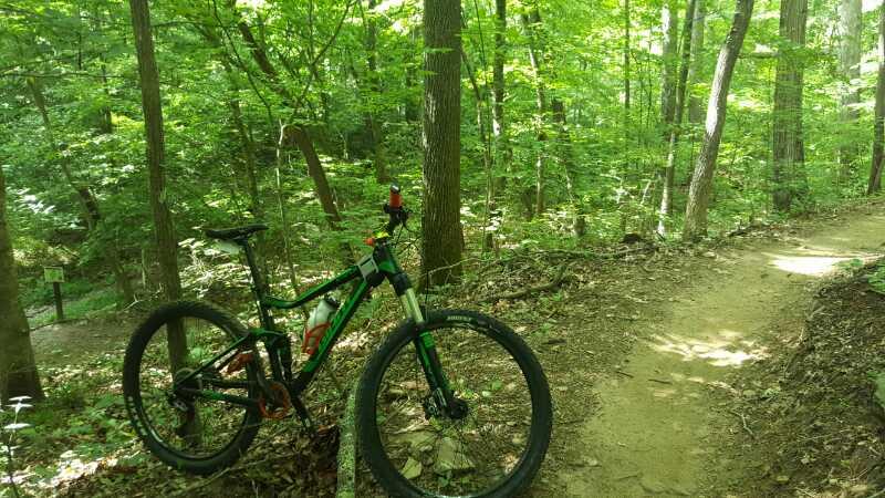 A mountain bike leaning against a tree on a dirt path surrounded by lush green trees in a forest. Sunlight filters through the canopy, creating dappled shadows on the ground. Sope Creek mountain bike trail.