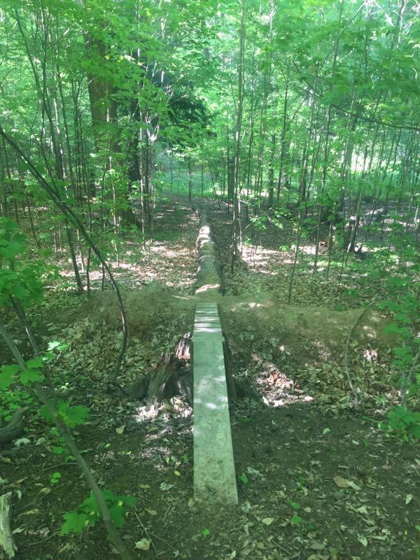 A wooden plank bridge spans across a fallen log in a dense, green forest. Sunlight filters through the leaves, highlighting the earth and fallen foliage on the forest floor. The surrounding trees are lush and vibrant, creating a serene natural setting. Bronte Creek North Trail mountain bike trail.