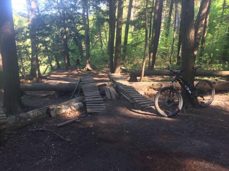 A mountain bike parked beside a wooden bridge made of planks, set in a lush forested area with tall trees and green foliage. The scene captures a natural trail, highlighting the combination of dirt paths and wooden structures for biking. Bronte Creek North Trail mountain bike trail.