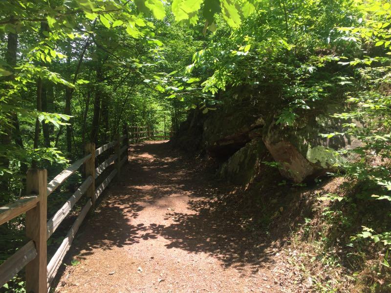 A scenic dirt pathway winding through a lush, green forest, bordered by a wooden fence and illuminated by dappled sunlight filtering through the tree leaves. Rocky outcrops are visible along the path, adding to the natural beauty of the surroundings. Tannehill Historic Ironworks State Park mountain bike trail.