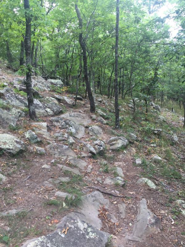 A rocky hiking trail winding through a lush green forest, surrounded by trees and shrubs. The path is uneven, with large stones and patches of dirt visible. Oak Mountain State Park mountain bike trail.