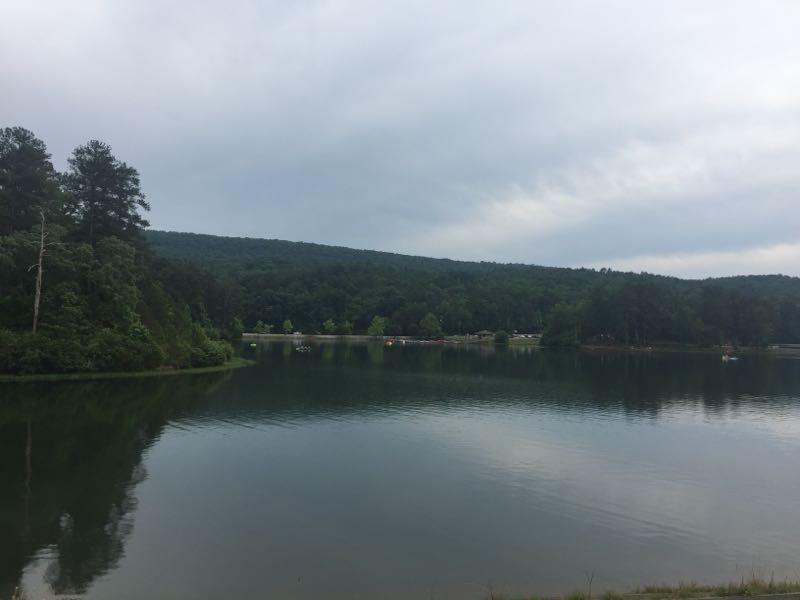 A serene lakeside view featuring calm waters reflecting the overcast sky and surrounding greenery. Pine trees line the shore with rolling hills in the background, creating a tranquil natural setting. Small boats can be seen on the water, adding to the peaceful atmosphere. Oak Mountain State Park mountain bike trail.