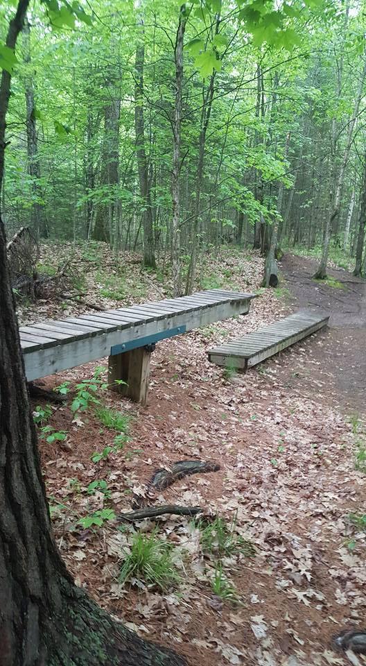 A wooden footbridge connecting two trails in a lush green forest, surrounded by trees and fallen leaves on the ground. The scene captures a serene, natural environment ideal for hiking or exploring. Raven Trails mountain bike trail.