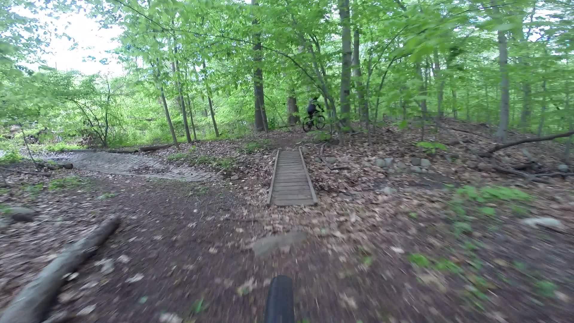 A blurry view from the perspective of a mountain biker navigating a wooded trail, with lush green foliage and a wooden bridge ahead. Richmond Avenue and Forest Hill road mountain bike trail.