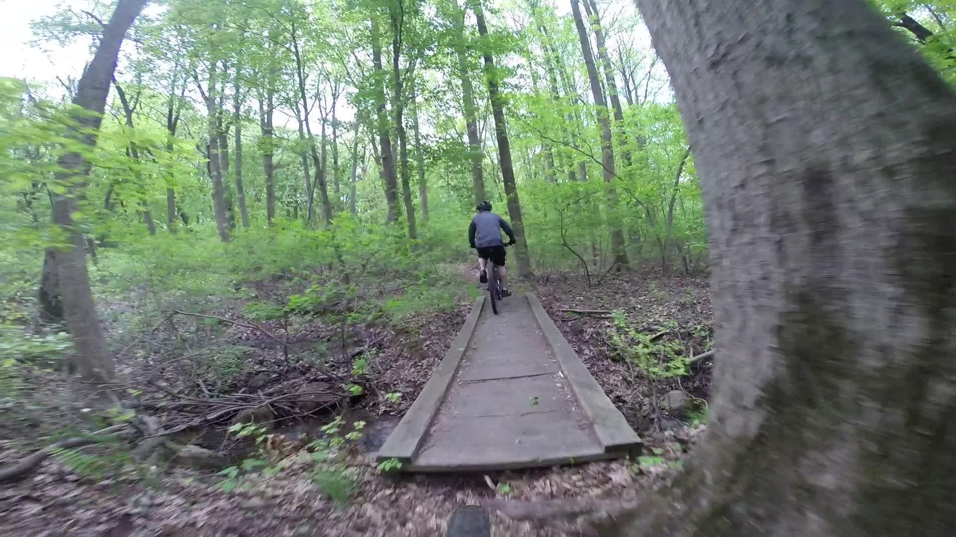 A person riding a mountain bike on a wooden bridge that traverses a forested area, surrounded by lush green trees and underbrush. Richmond Avenue and Forest Hill road mountain bike trail.
