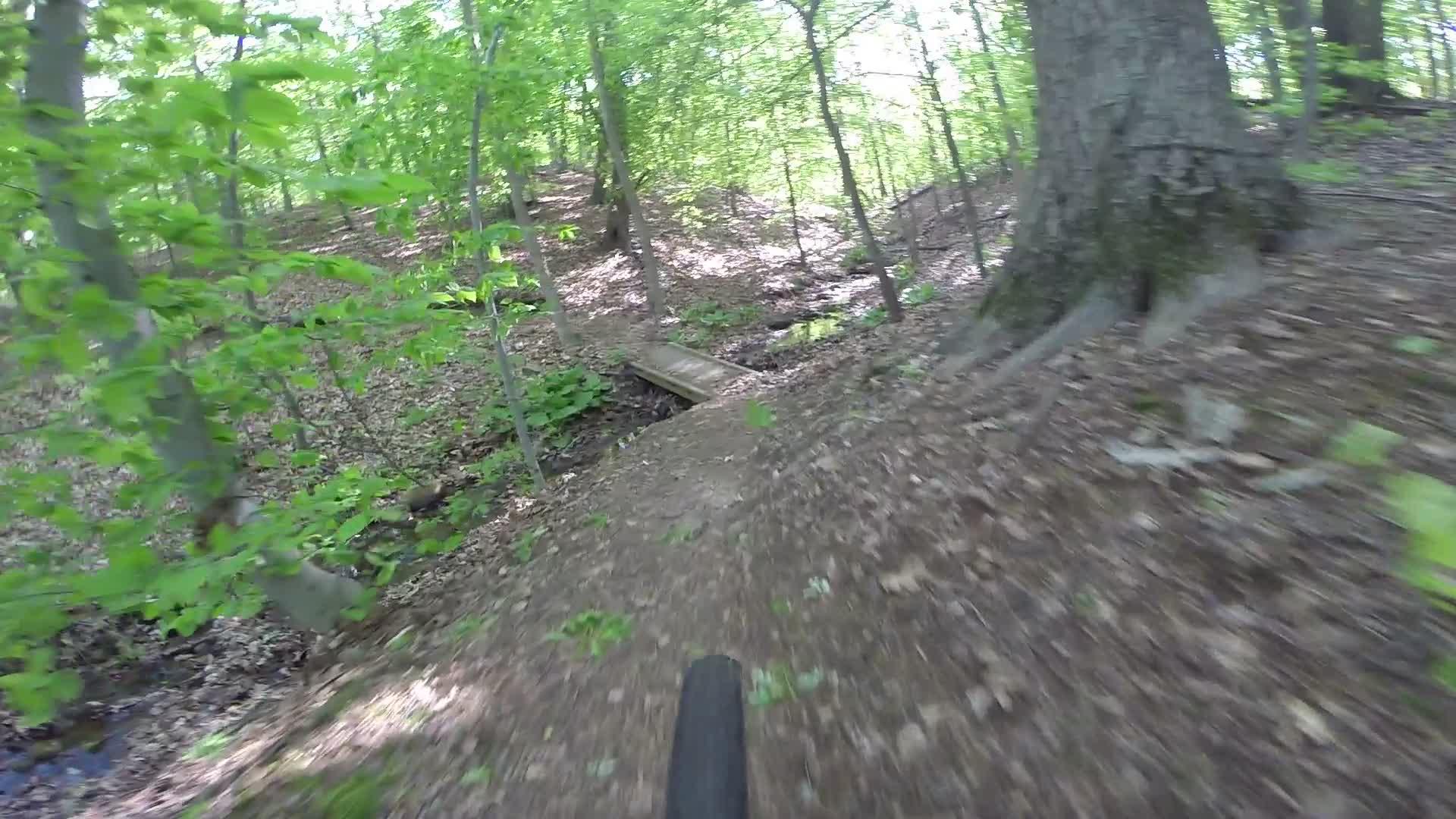 A blurred view of a mountain bike tire approaching a narrow wooden bridge over a small stream, surrounded by lush green trees and scattered leaves on the forest floor. The trail is winding through a vibrant, sunlit woodland scene. Richmond Avenue and Forest Hill road mountain bike trail.