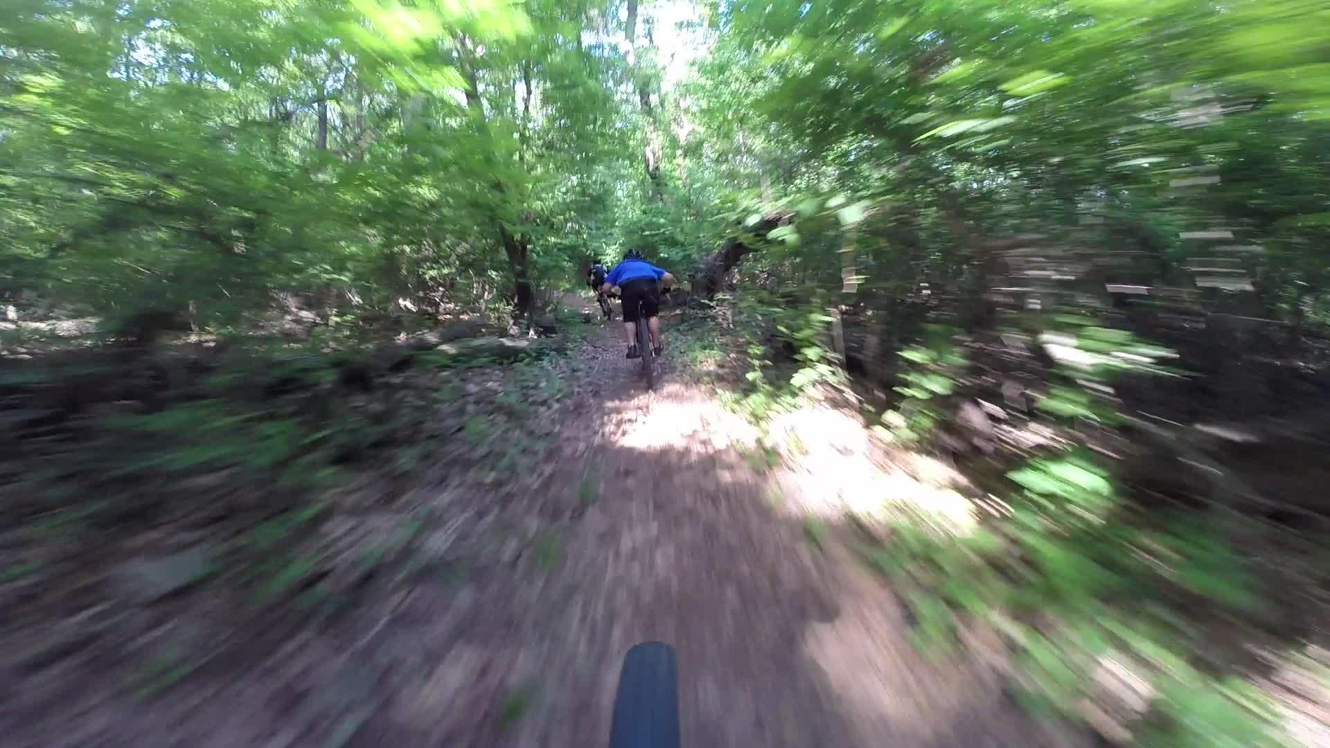 A cyclist navigating a dirt trail through a densely wooded area, with greenery and motion blur suggesting high speed. Richmond Avenue and Forest Hill road mountain bike trail.