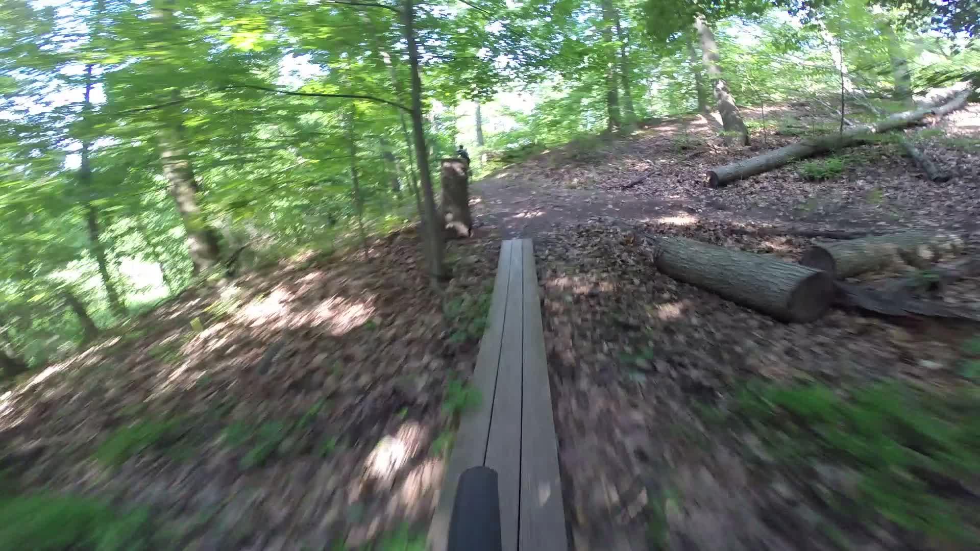 A close-up view of a wooden path through a green forest, surrounded by trees and fallen leaves, with logs visible on the ground. The image captures a sense of motion as if taken while biking or walking along the trail. Richmond Avenue and Forest Hill road mountain bike trail.