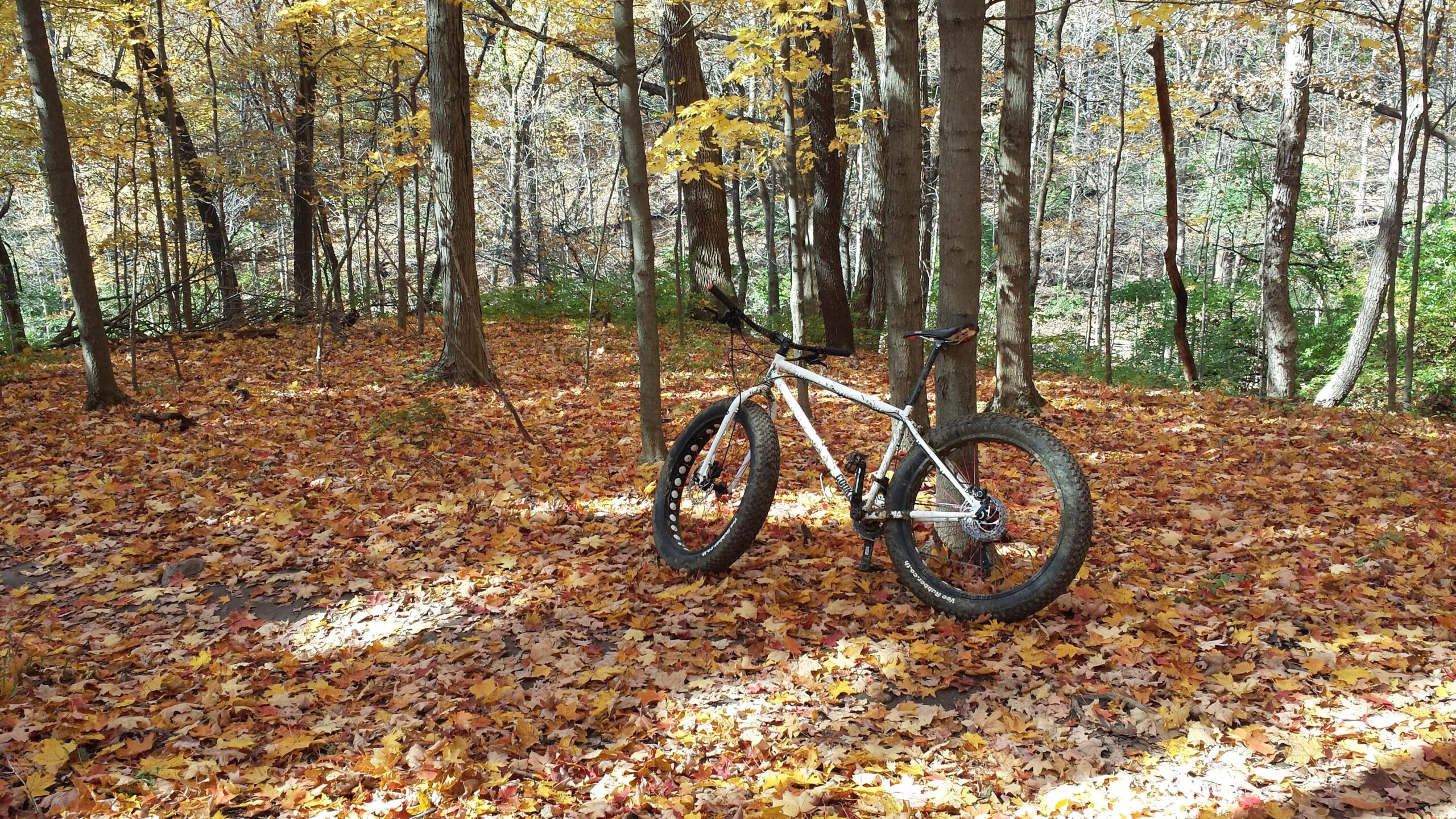 Charge Cooker 1: A white fat bike resting on a carpet of colorful autumn leaves in a forest, surrounded by trees with yellow and orange foliage.