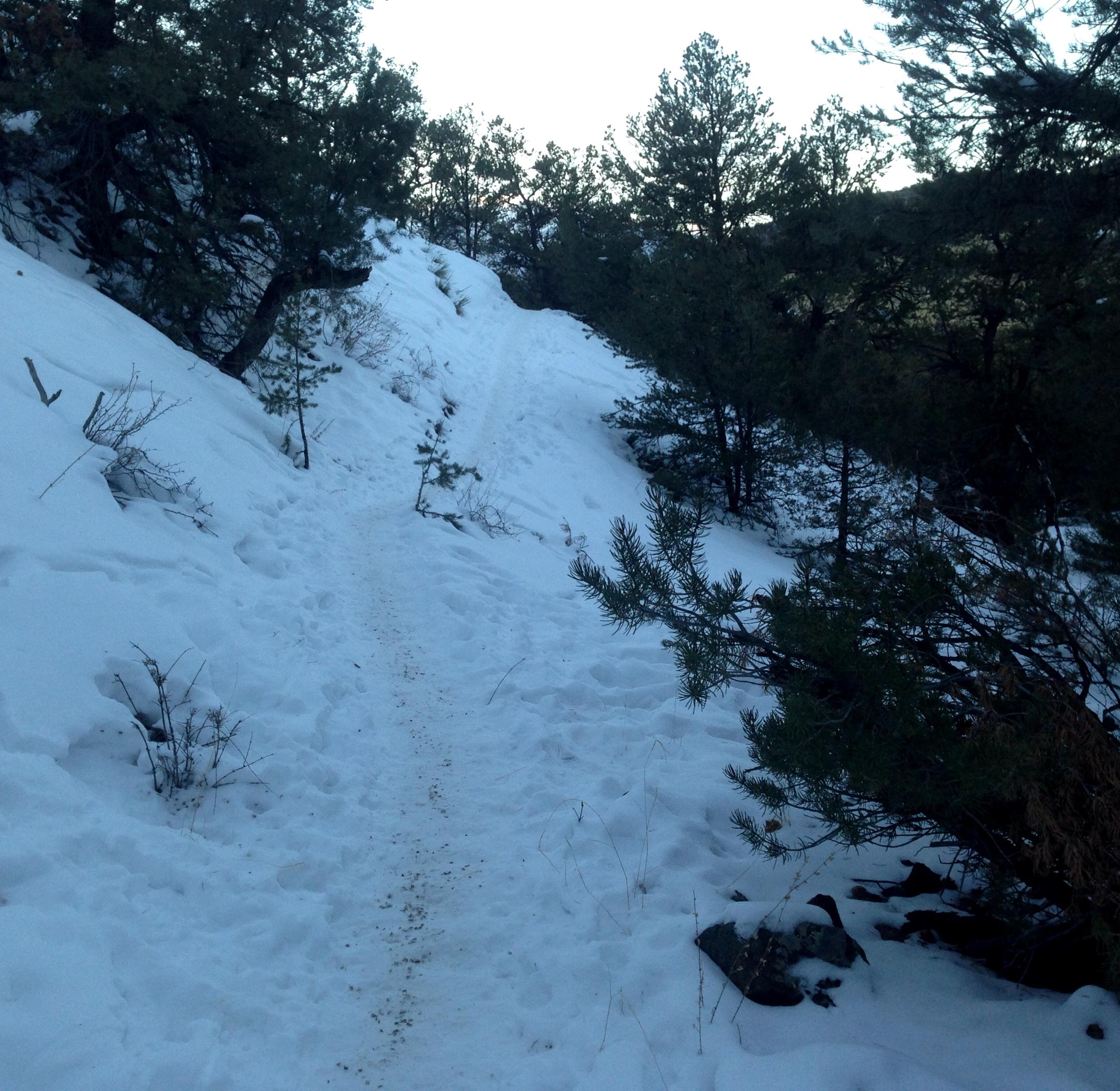 A snow-covered hiking trail winding through a wooded area, surrounded by evergreen trees and rocky terrain. The path shows signs of recent foot traffic, with clear footprints leading into the distance. North Backbone mountain bike trail.