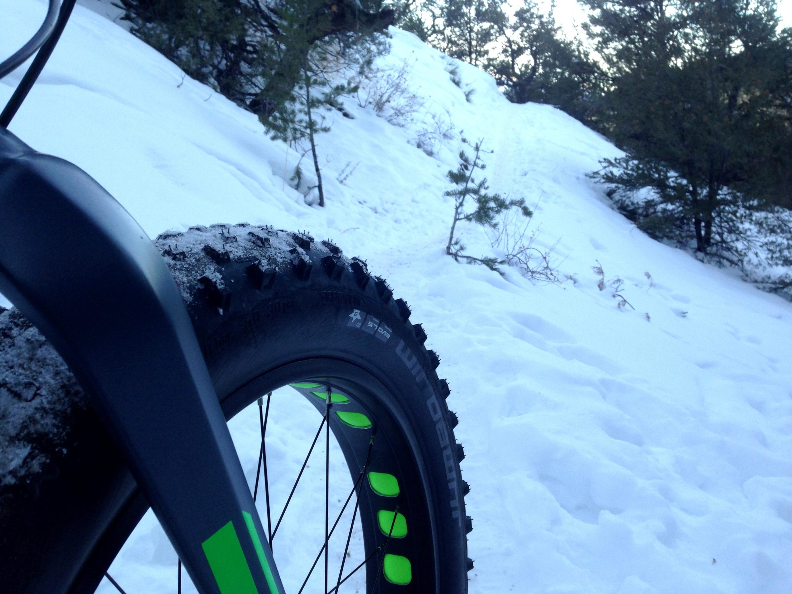 A close-up view of a fat bike tire with visible tread, resting on a snowy surface. In the background, a snow-covered path leads up a gentle slope, surrounded by evergreen trees. The bike's frame features green accents. North Backbone mountain bike trail.