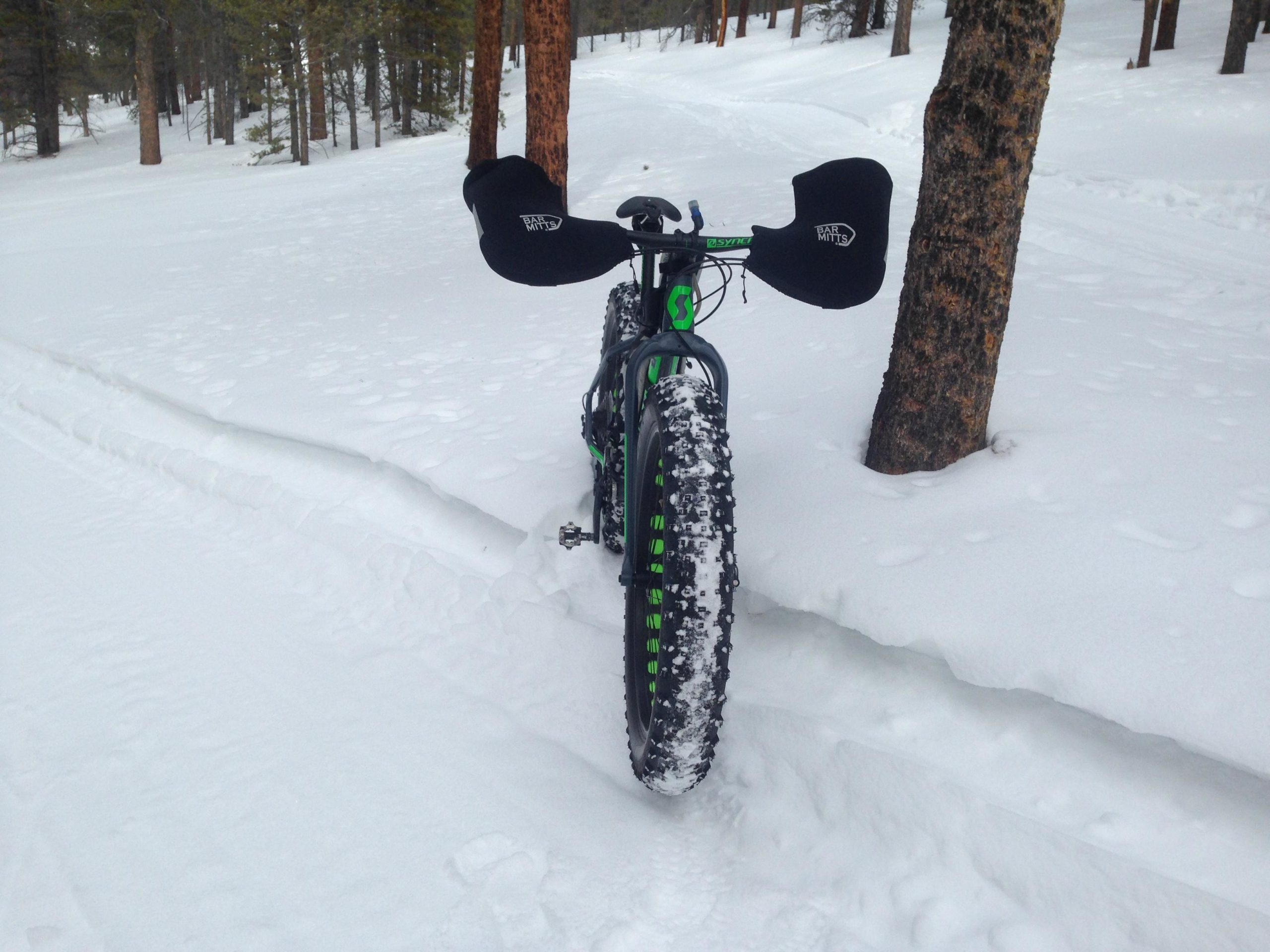 A fat bike parked on a snowy trail, surrounded by pine trees. The snow is freshly fallen and untouched, creating a serene winter landscape. The bike features wide tires designed for snow, and the handlebars are equipped with handlebar mitts for added warmth. Colorado Mountain College Trails mountain bike trail.
