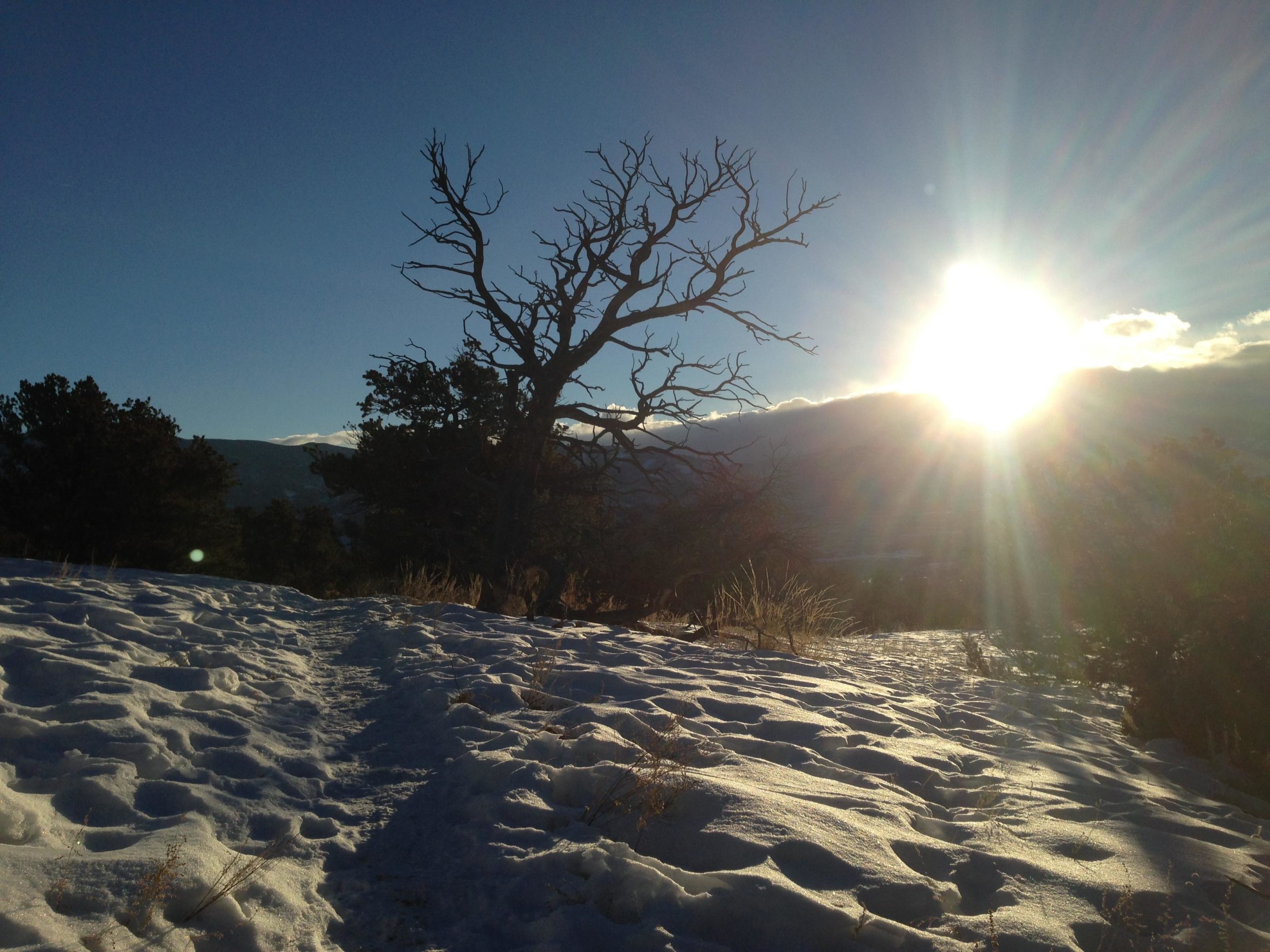 A scenic winter landscape featuring a snow-covered path leading through a field. In the foreground, a barren tree stands silhouetted against a bright sun setting behind distant mountains, casting rays of light across the snowy terrain and creating a tranquil atmosphere. North Backbone mountain bike trail.
