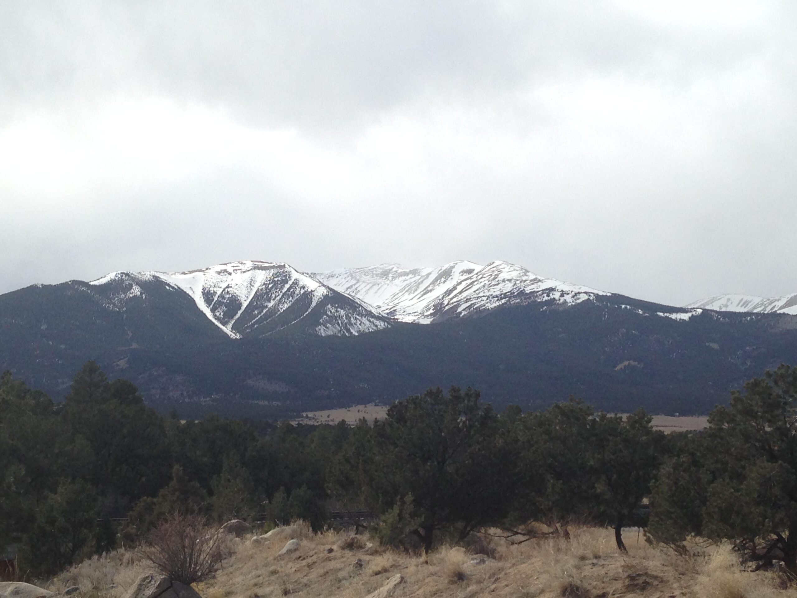 A panoramic view of snow-capped mountains under a cloudy sky, with evergreen trees and dry grass in the foreground. River Road / #371 mountain bike trail.