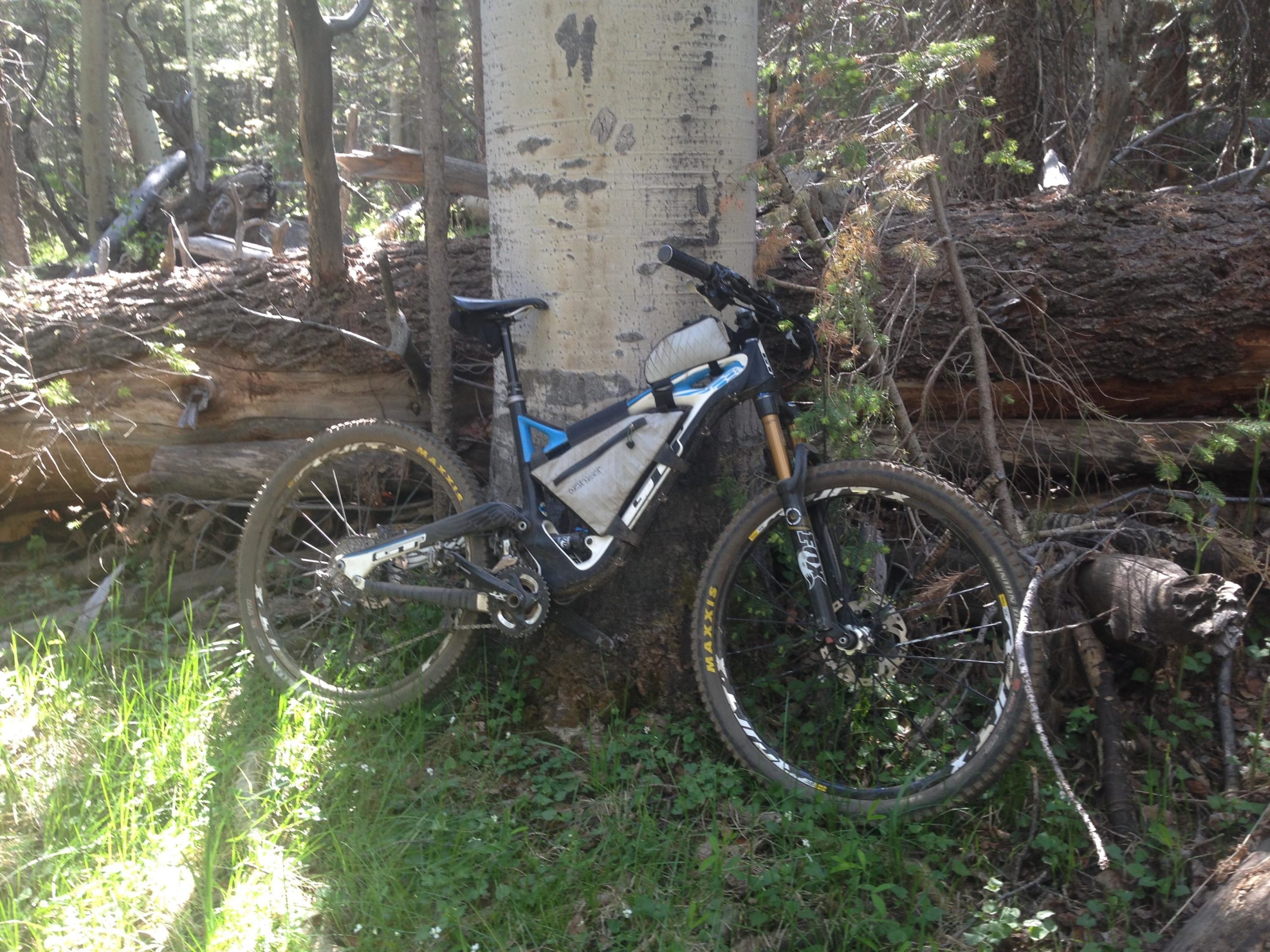 A mountain bike leaning against a tree in a forested area, surrounded by green grass and fallen logs. Sunlight filters through the trees, highlighting the bike's blue and white frame. Arizona Trail: Flagstaff mountain bike trail.