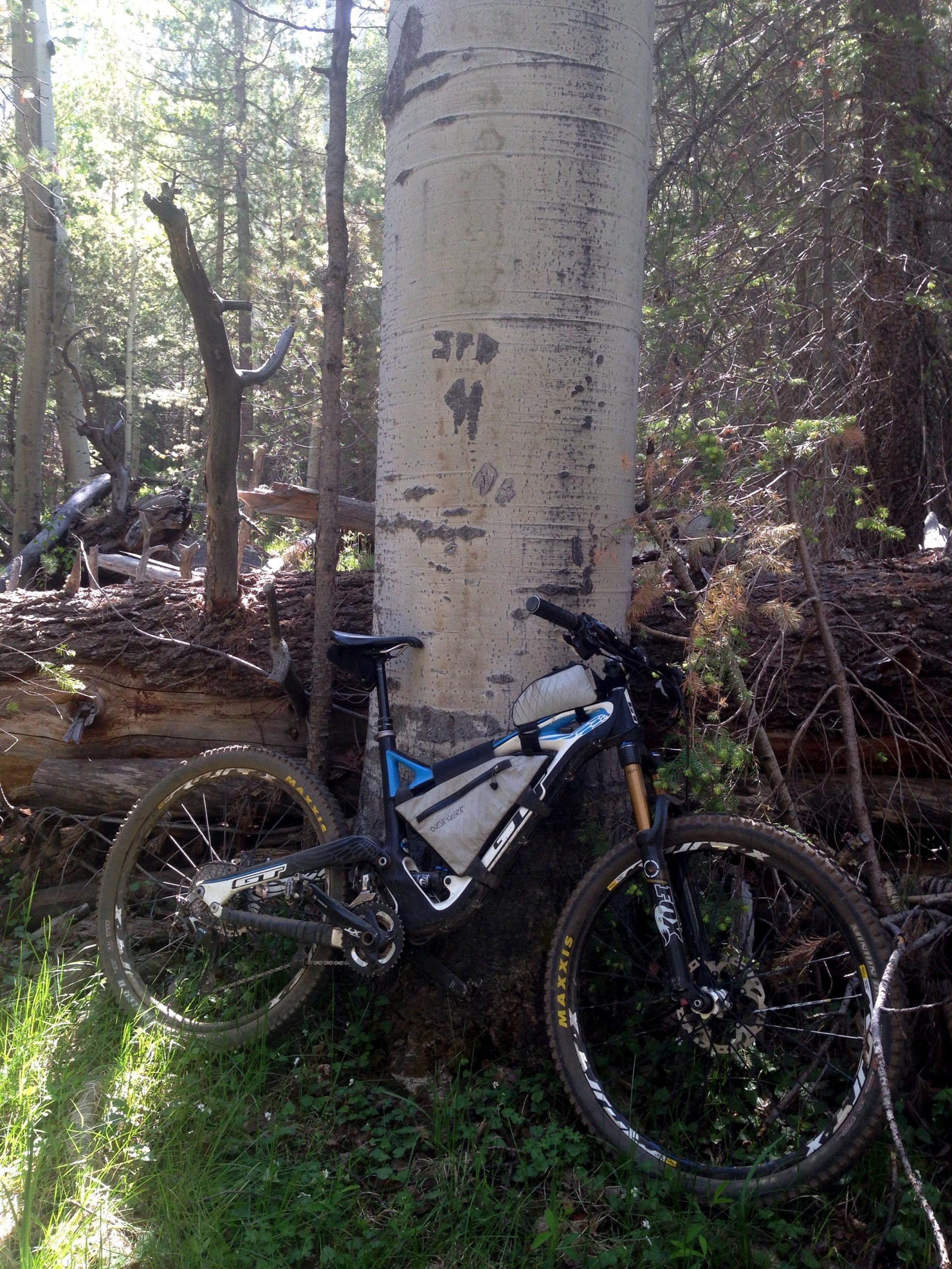 A mountain bike resting against a large aspen tree in a forested area. Sunlight filters through the trees, casting dappled light on the ground covered with green grass and fallen logs. Arizona Trail: Flagstaff mountain bike trail.