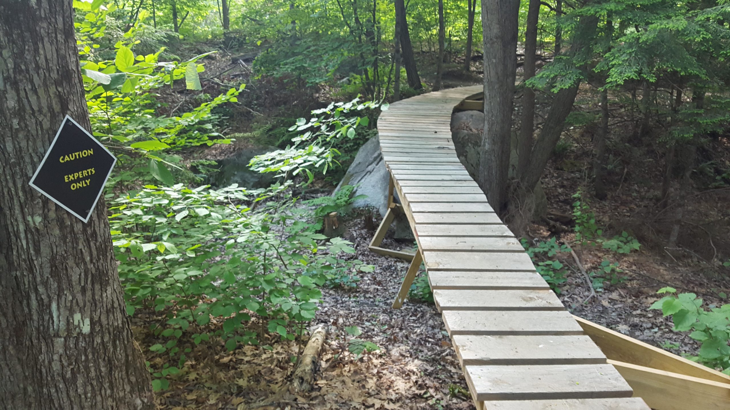 A wooden path winding through a lush forest, with a caution sign reading "Caution: Experts Only" attached to a tree on the left. The area is surrounded by green foliage and rocky terrain, indicating a natural setting. Bond Brook Trails mountain bike trail.