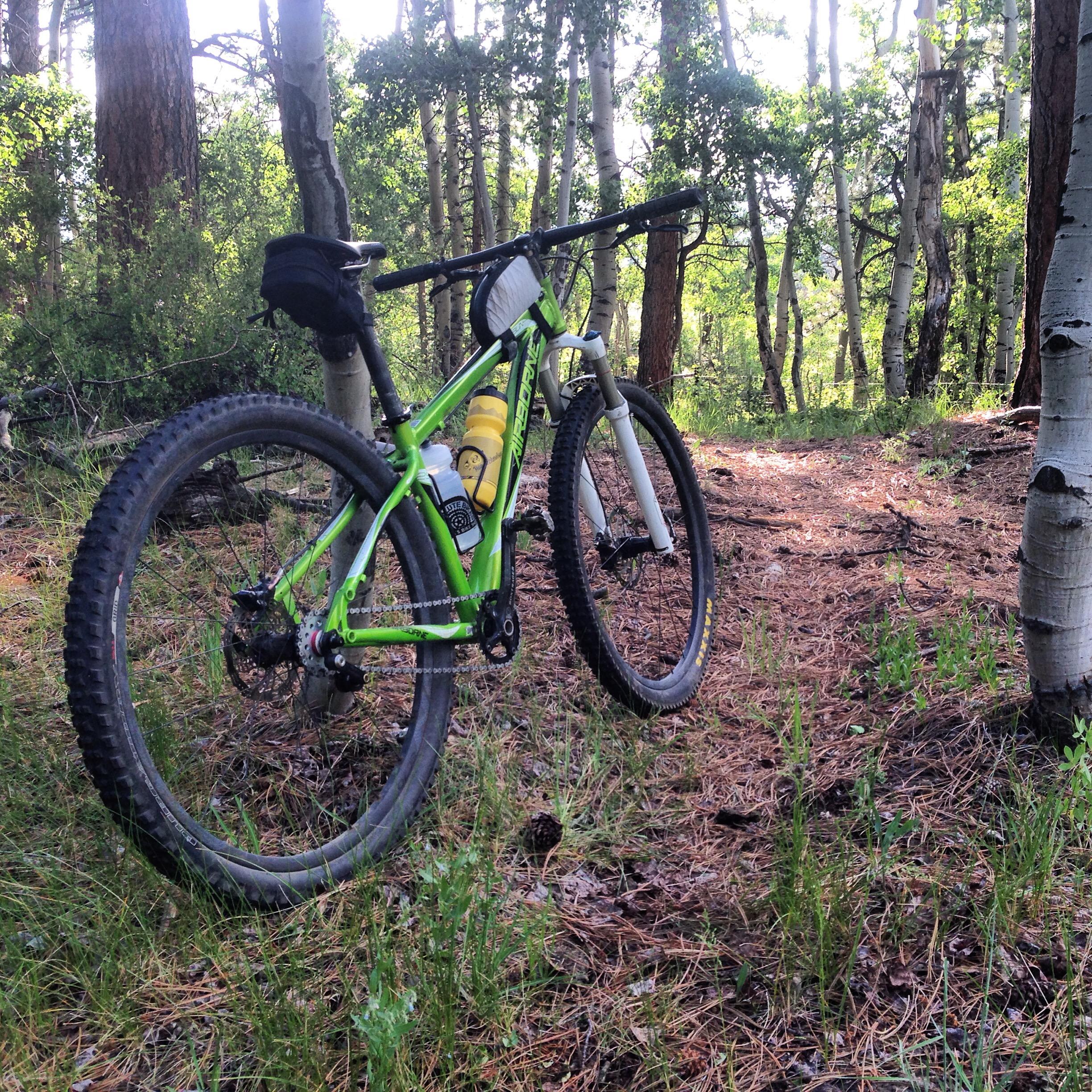 Airborne Goblin: A green mountain bike parked on a forest trail, surrounded by trees and underbrush. The bike has a water bottle holder and a small bag attached to the handlebars, set against a backdrop of green foliage and sunlight filtering through the trees.