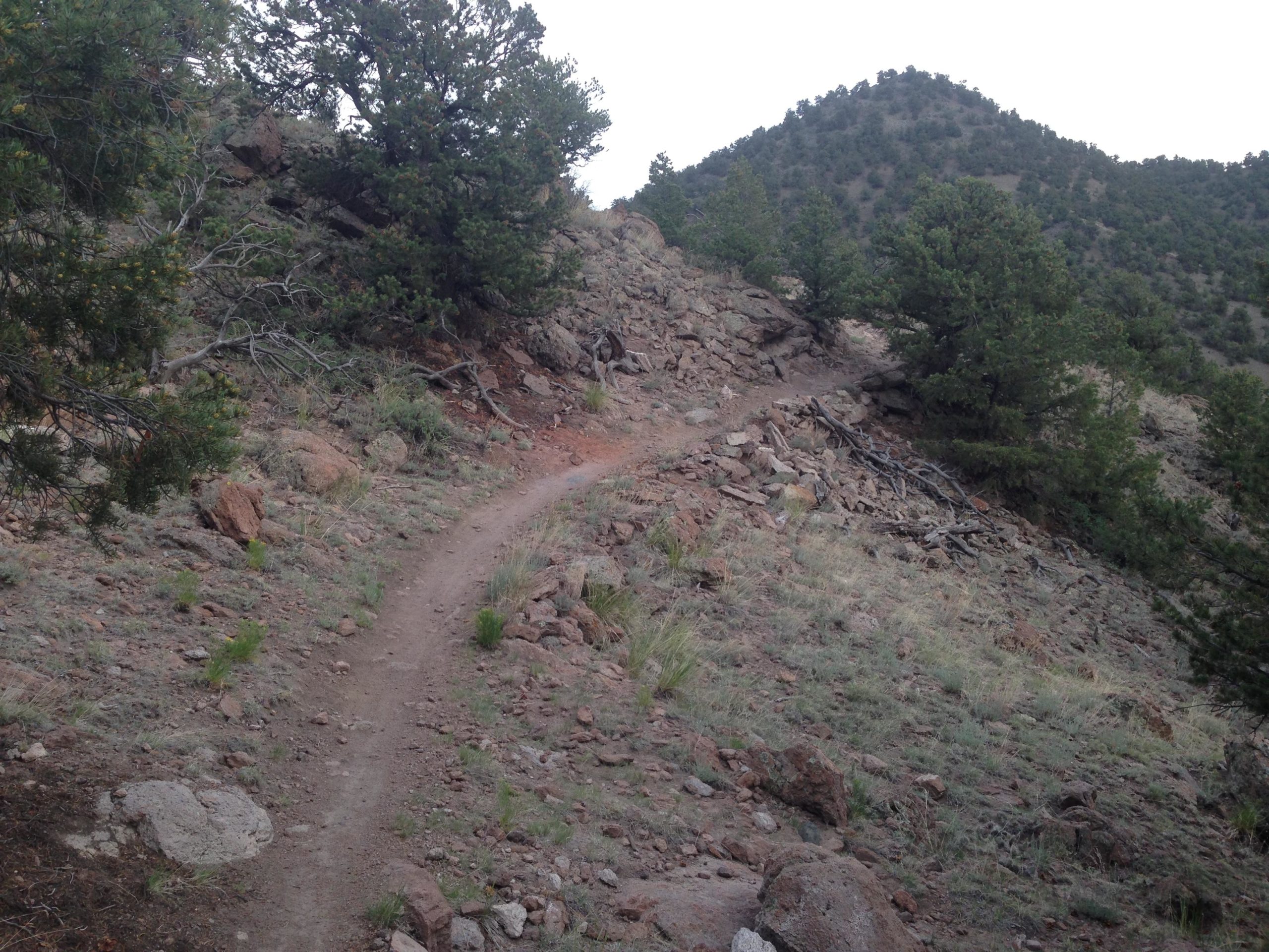 A winding dirt trail leading through rocky terrain, surrounded by patches of grass and sparse vegetation, with scattered boulders and trees on either side. In the background, a rugged hillside rises, partially obscured by trees. The sky is overcast, indicating a cloudy day. North Backbone mountain bike trail.