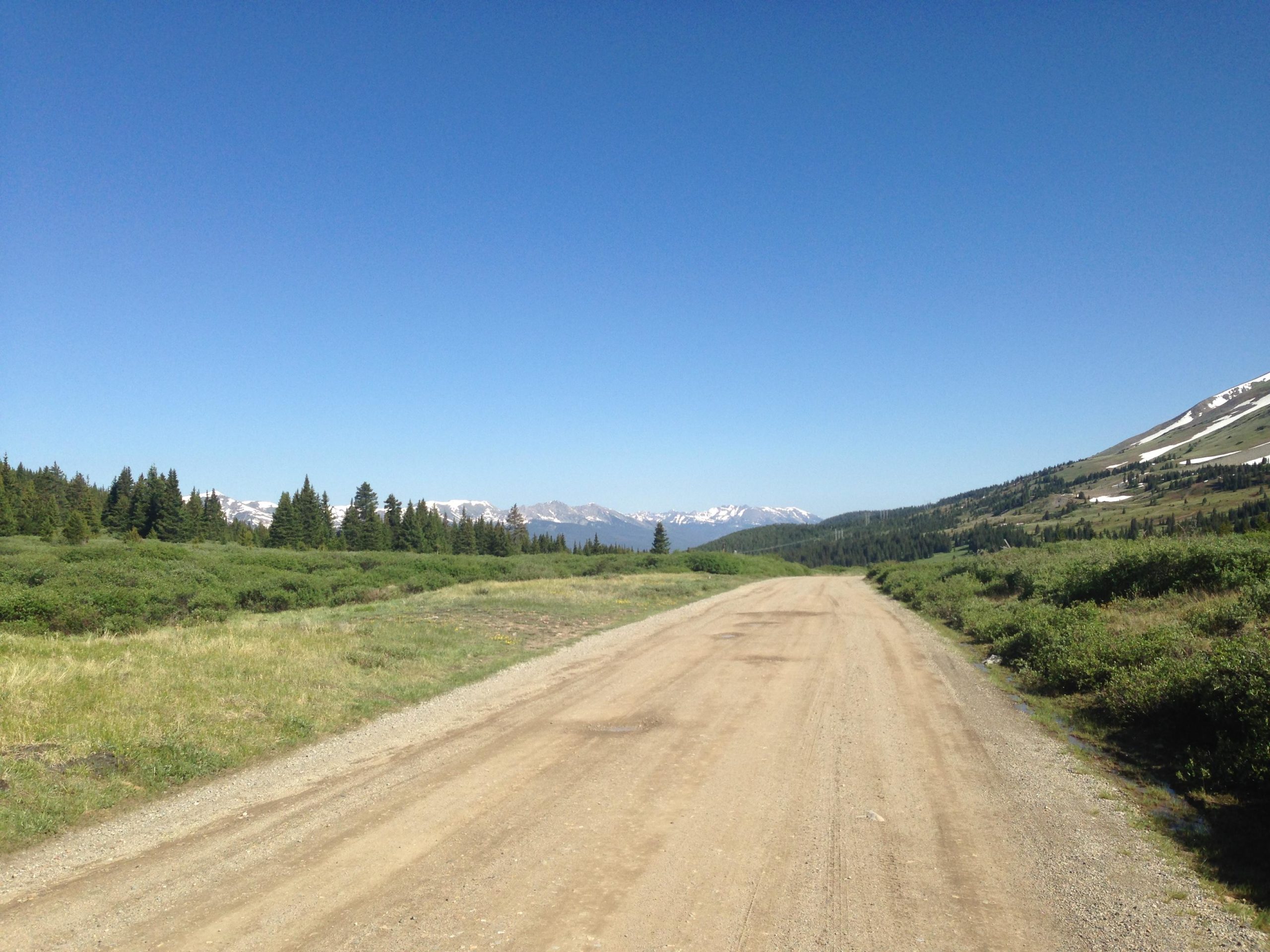 A dirt road stretches through a lush green landscape, bordered by shrubs and small trees, leading towards distant snow-capped mountains under a clear blue sky. Gold Dust Trail mountain bike trail.