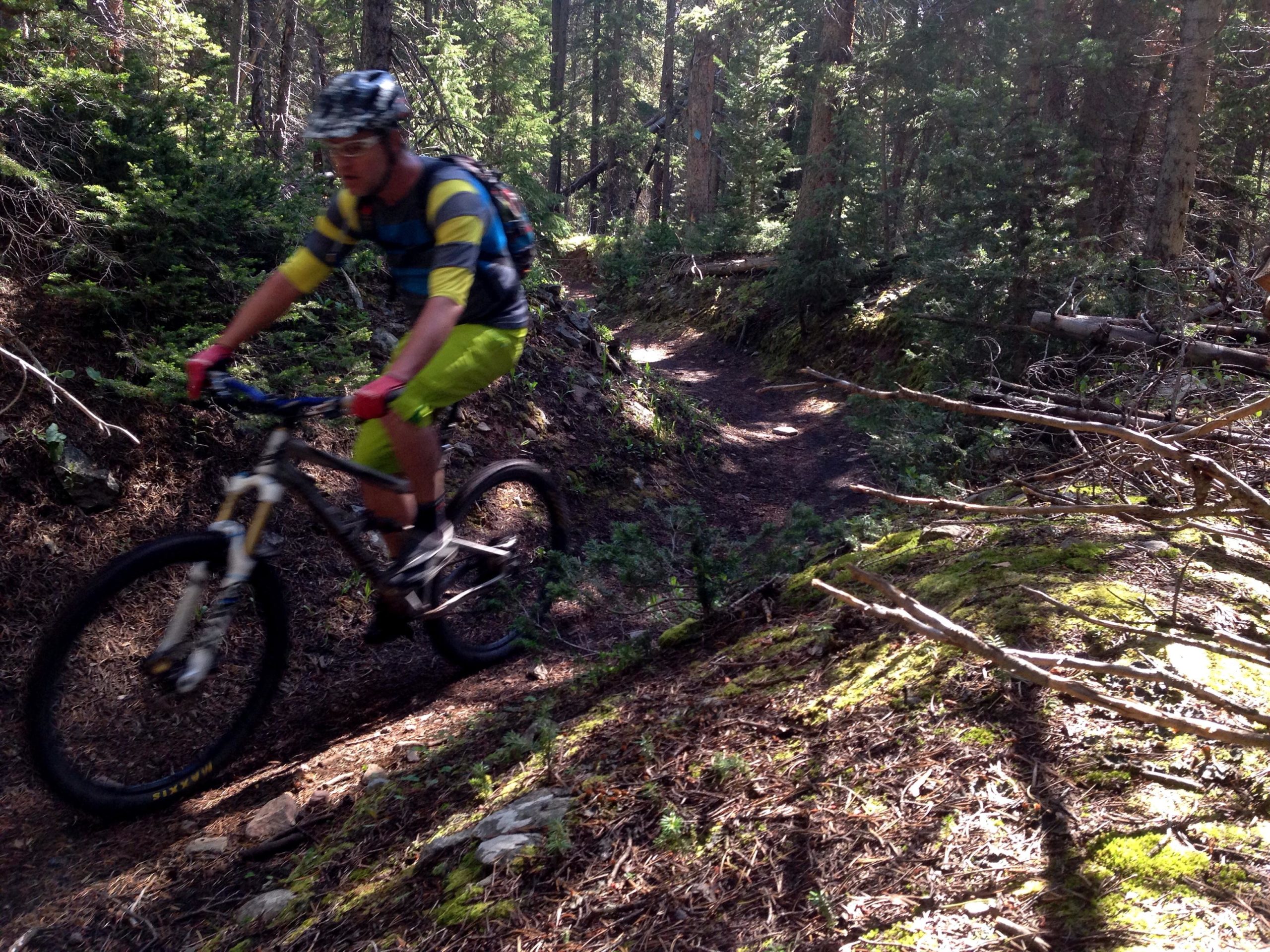 A mountain biker in a helmet and brightly colored clothing rides along a narrow, sunlit trail surrounded by trees and greenery. The rider appears to be in motion, navigating through a forested area with a mix of dirt and mossy ground. Gold Dust Trail mountain bike trail.