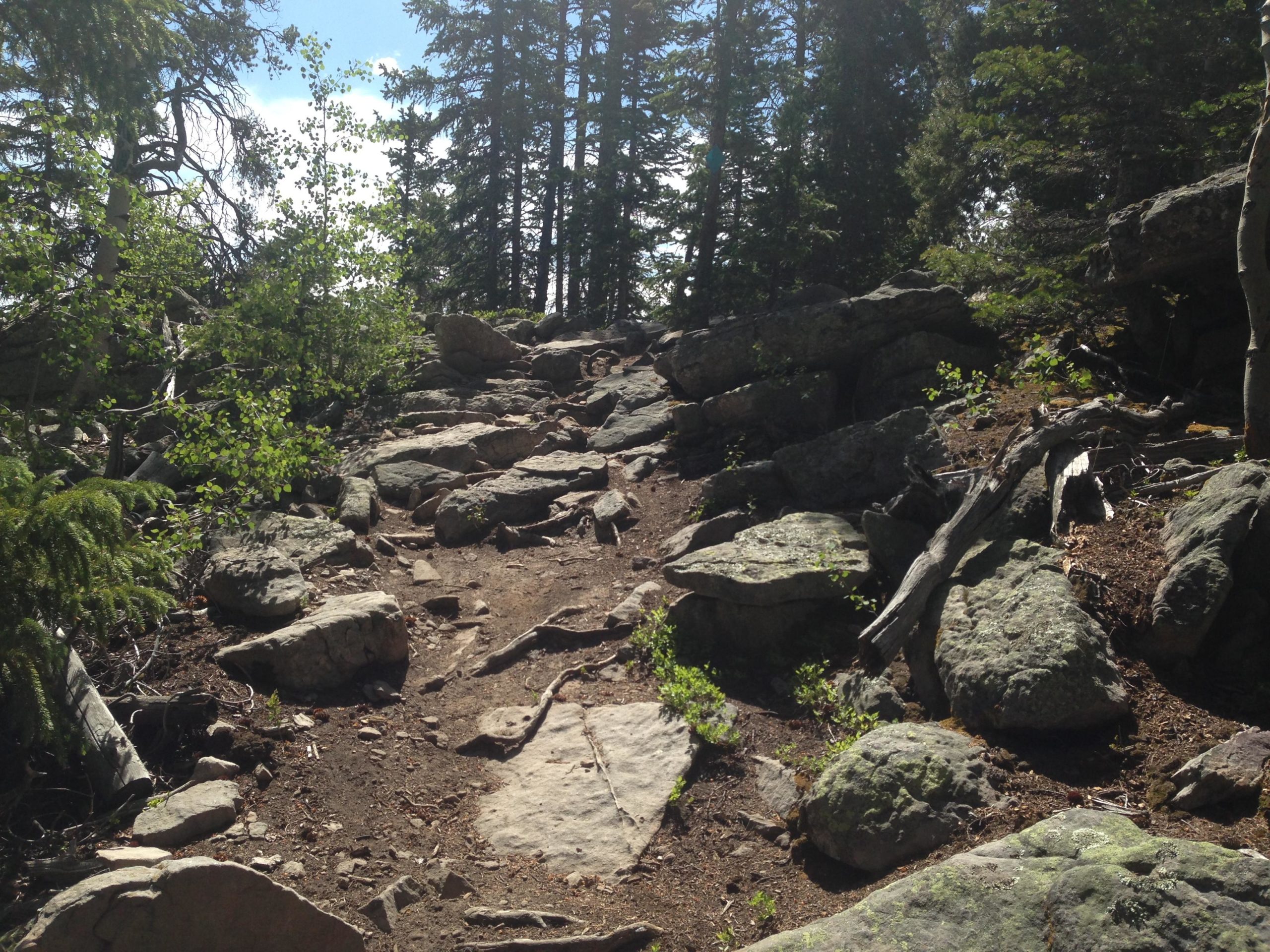 Rocky hiking trail surrounded by trees, with sunlight filtering through the forest canopy. The path is uneven, featuring large stones and patches of dirt, indicating a natural wilderness area. Gold Dust Trail mountain bike trail.
