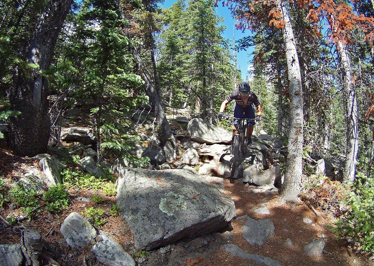 A mountain biker navigating a rocky trail through a dense forest of pine trees under a clear blue sky. The biker is in mid-jump over a large rock, demonstrating skill and agility in an adventurous outdoor setting. Gold Dust Trail mountain bike trail.