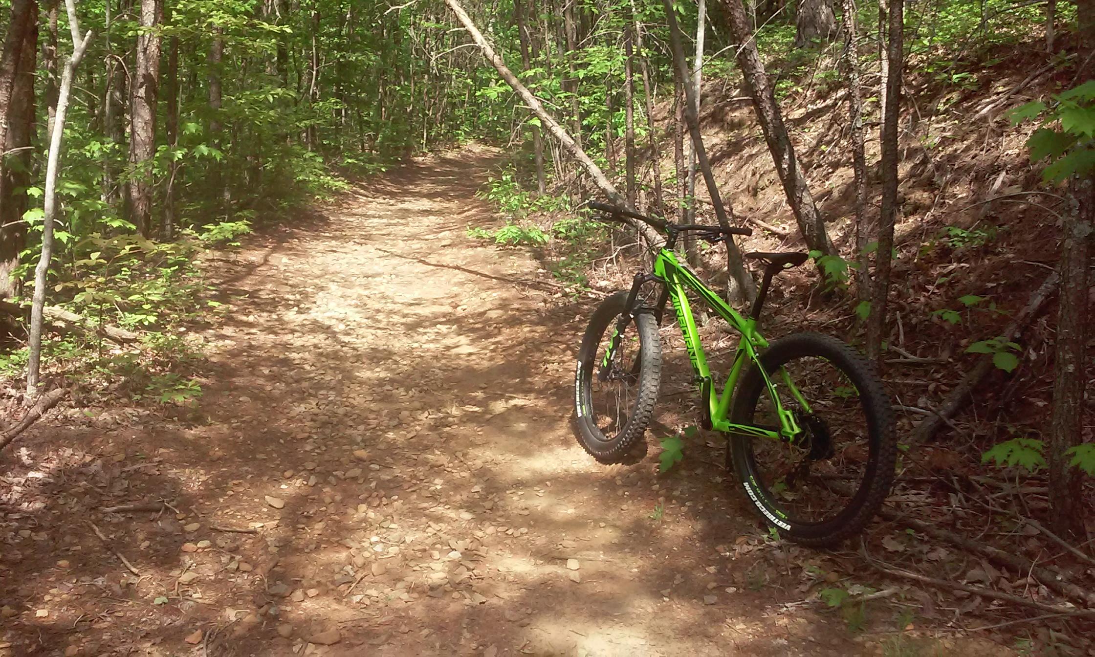 A green mountain bike parked on a dirt trail surrounded by lush green trees and foliage, with sunlight filtering through the leaves. The trail is narrow, winding through a forested area, showcasing a natural and serene outdoor setting. Aska Trail System mountain bike trail.