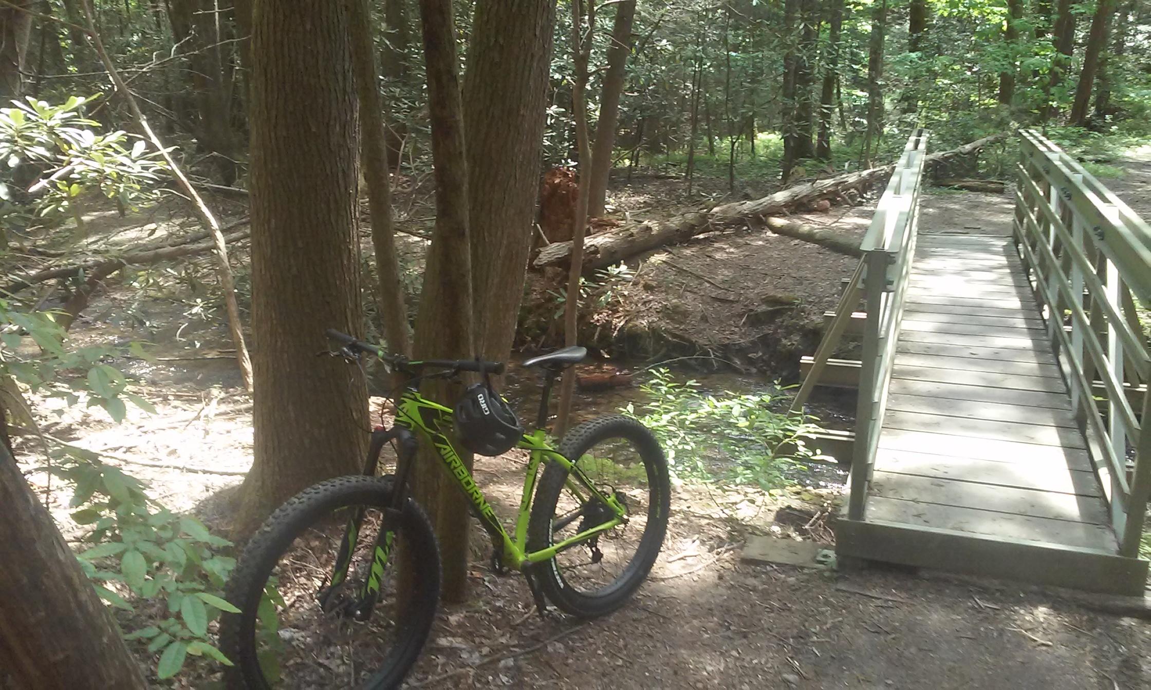 A mountain bike parked next to a small stream in a wooded area, with a wooden bridge crossing over the water in the background. Sunlight filters through the trees, casting dappled shadows on the forest floor. Aska Trail System mountain bike trail.