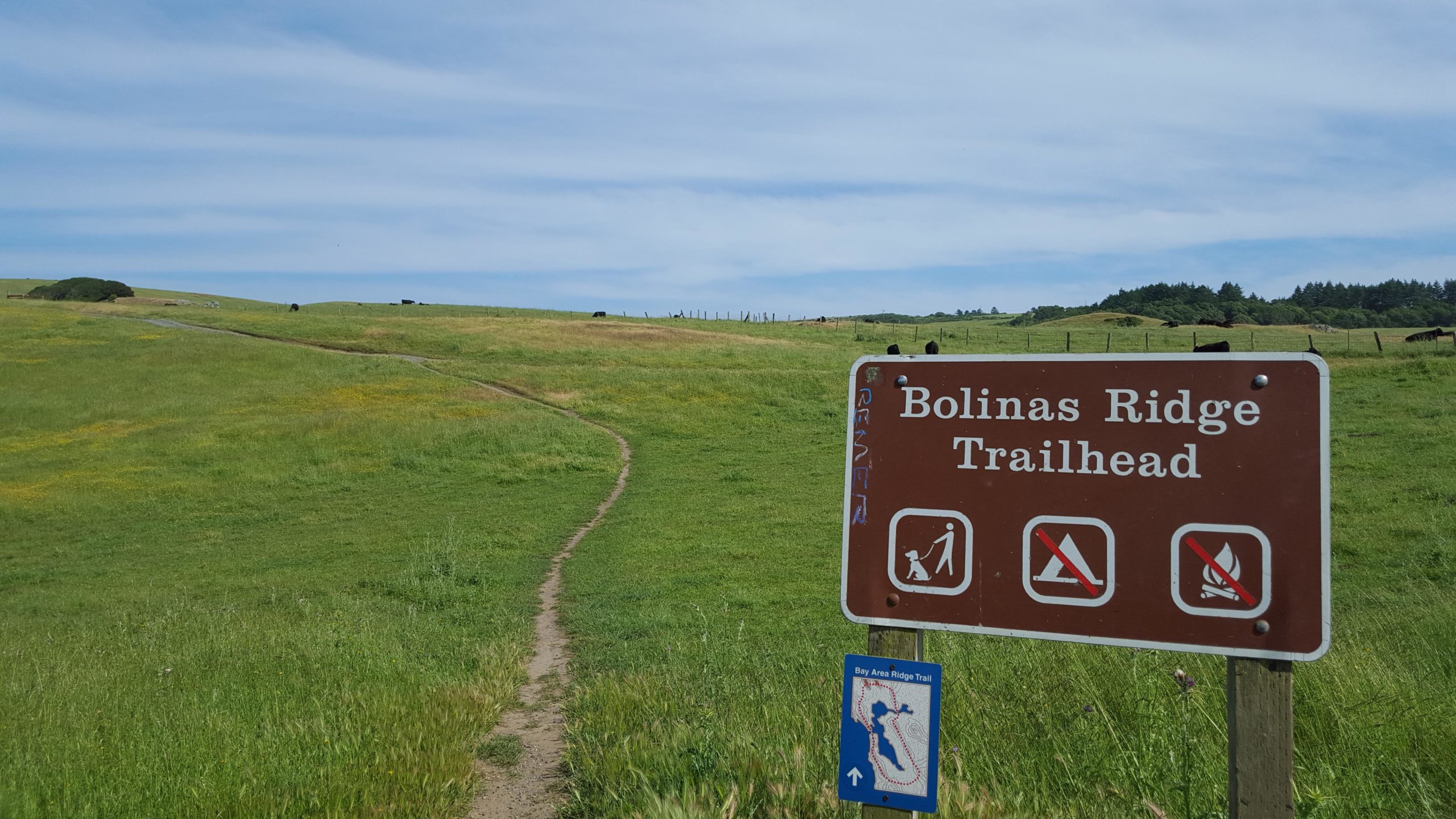 A scenic view of the Bolinas Ridge trailhead sign set against a backdrop of rolling green hills under a clear blue sky. The trail sign indicates hiking, a map of the Bay Area Ridge Trail, and restrictions on camping and fires. A dirt path winds through the grassy landscape, leading into the hills. Bolinas Ridge mountain bike trail.