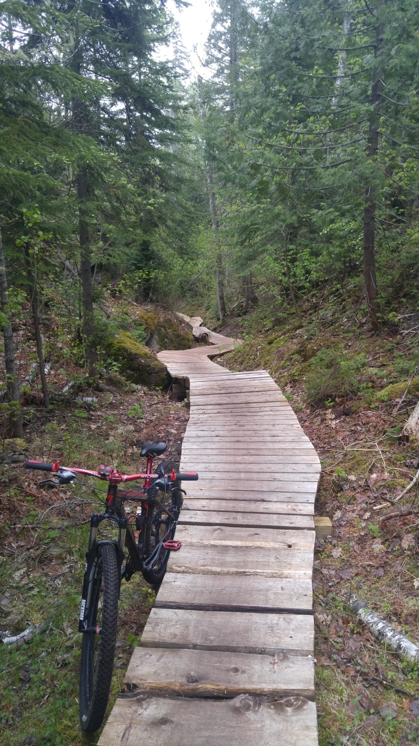 A mountain bike parked next to a winding wooden trail surrounded by lush green trees and underbrush in a forest setting. Copper Harbor Trails mountain bike trail.