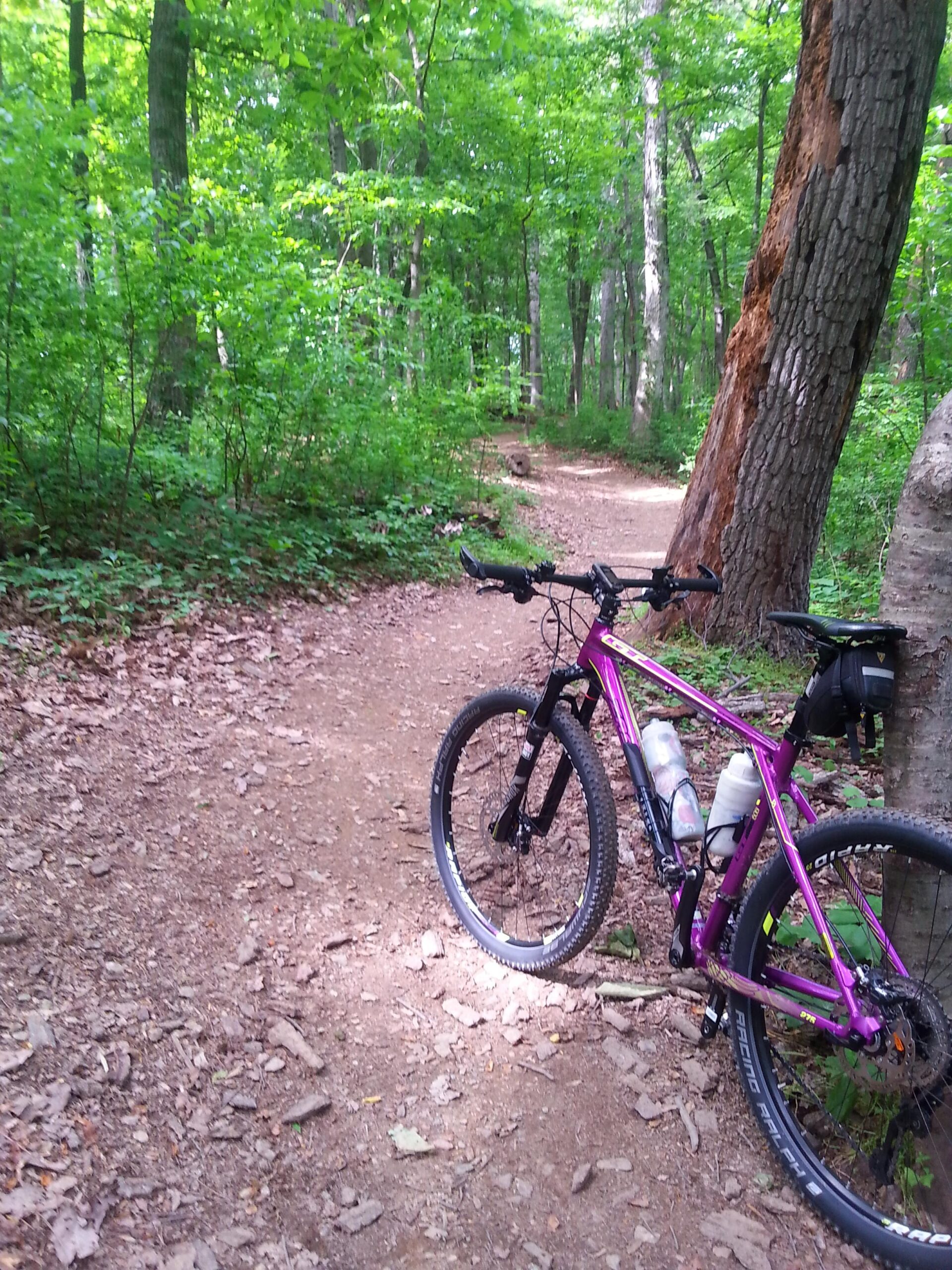A pink mountain bike is parked next to a dirt path winding through a lush green forest. The trail is surrounded by trees and dense foliage, with patches of sunlight highlighting the earthy ground covered in leaves and small rocks. Schaeffer Farms mountain bike trail.