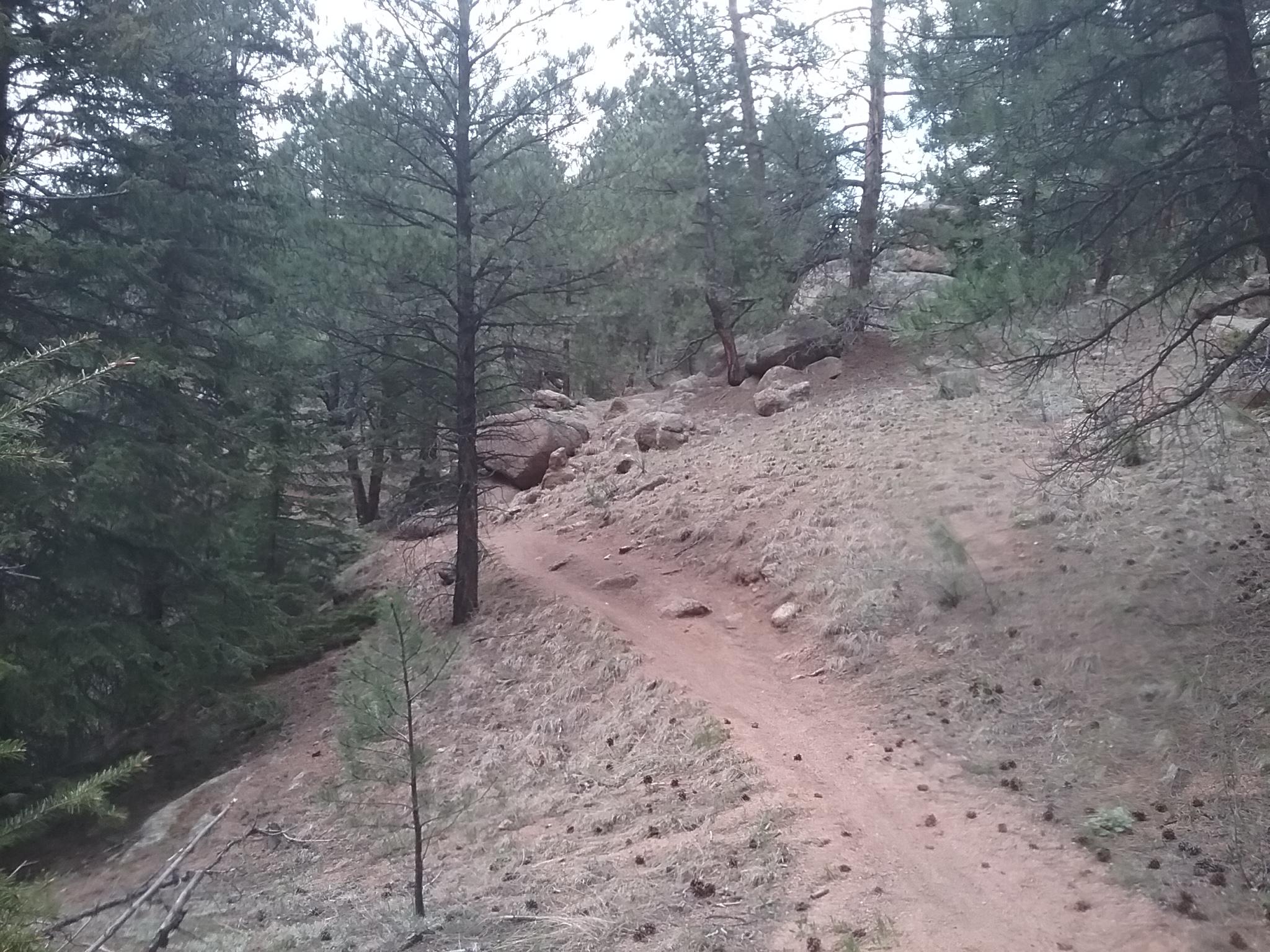 A winding dirt path leads through a forested area, flanked by tall pine trees and scattered rocks. The terrain is slightly hilly, with patches of dry grass and pine needles covering the ground. The scene is tranquil and natural, evoking a sense of solitude and the outdoors. Buffalo Creek mountain bike trail.