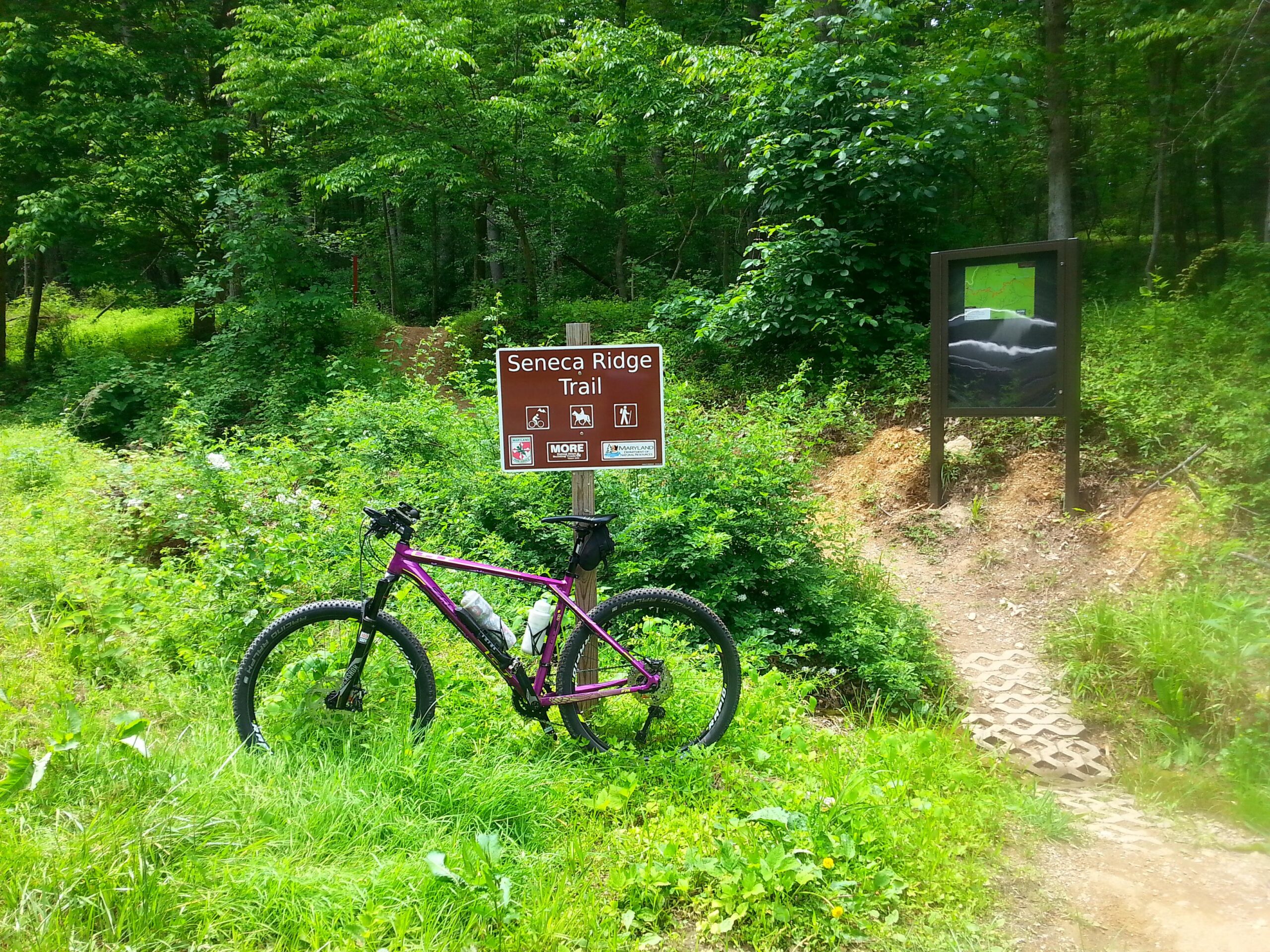 Purple mountain bike resting on the grass next to a sign for the Seneca Ridge Trail, surrounded by lush green foliage. The sign provides trail information and is accompanied by a map display nearby. Seneca Creek State Park Trail mountain bike trail.